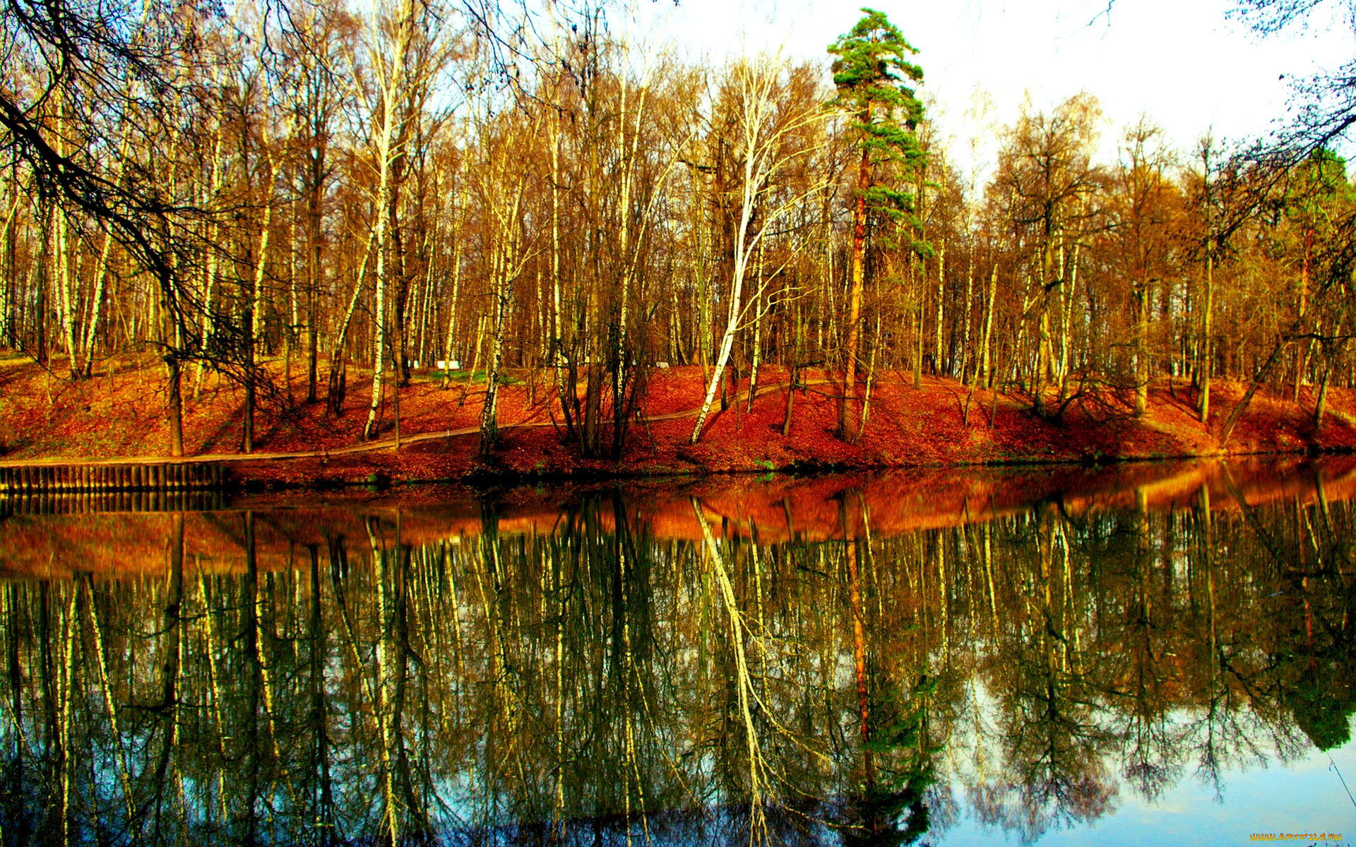 природа, реки, озера, краски, березки, осень, лес, река