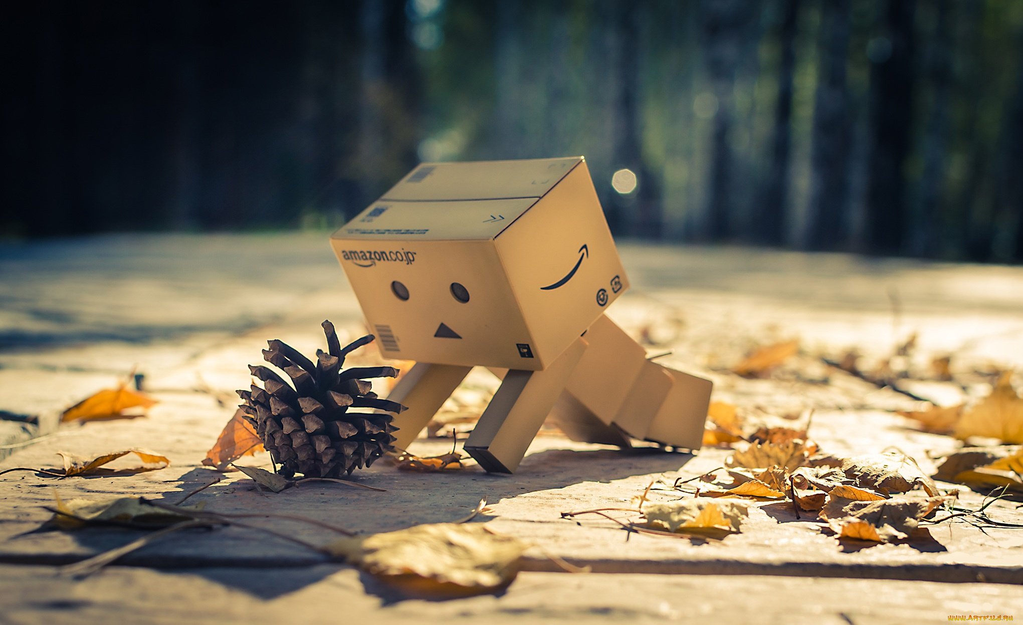 разное, данбо, danboard, шишка, коробка