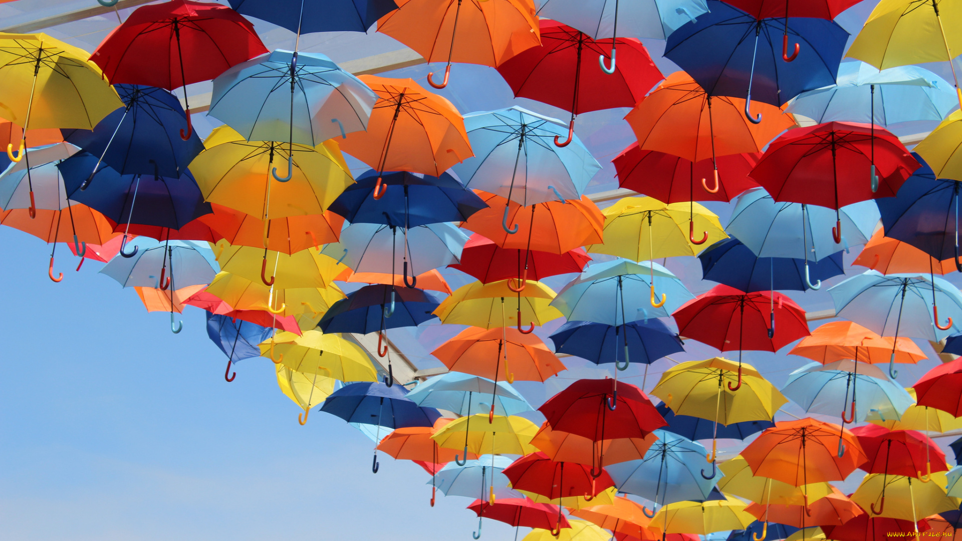разное, сумки, кошельки, зонты, яркие, разноцветные, зонтики, небо