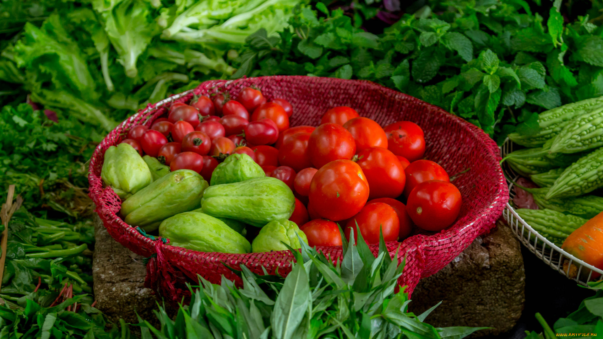 еда, овощи, урожай, томаты, помидоры