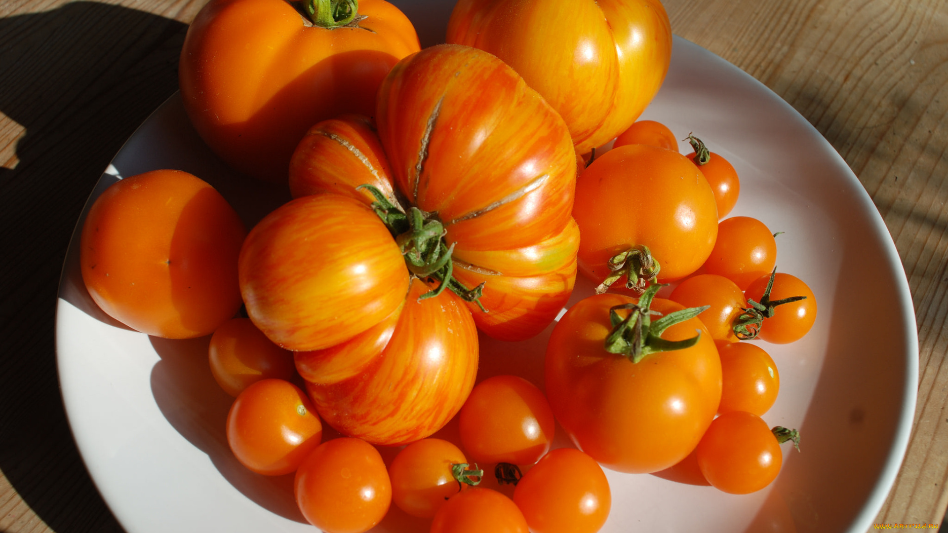 еда помидоры корзина томаты бесплатно