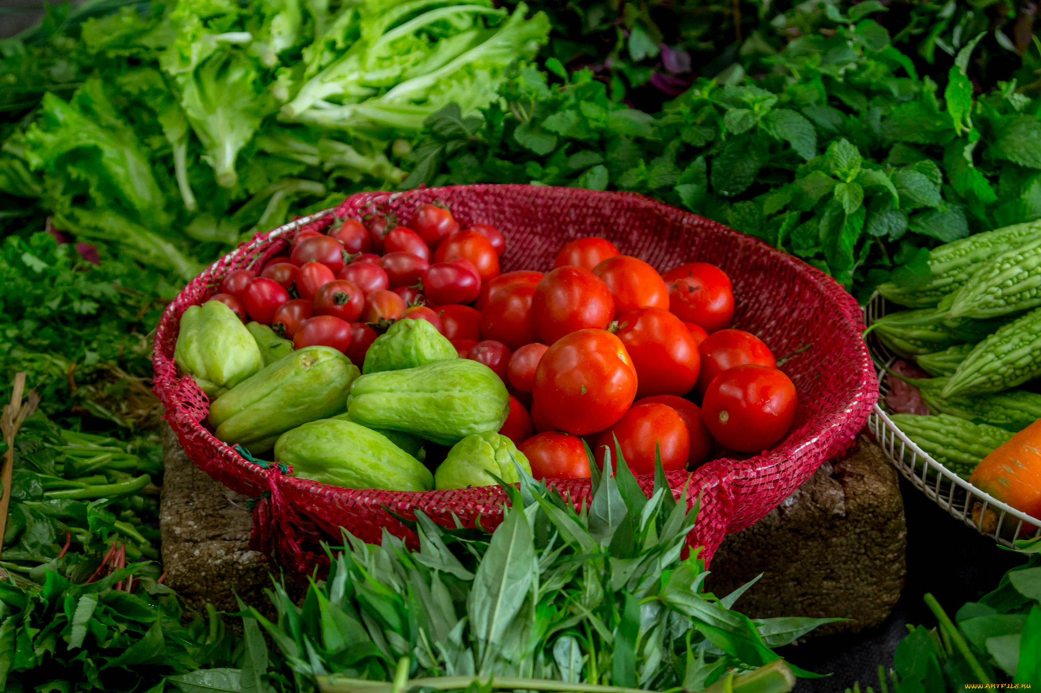 еда, овощи, урожай, томаты, помидоры