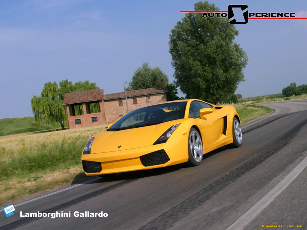 lamborghini, gallardo, автомобили