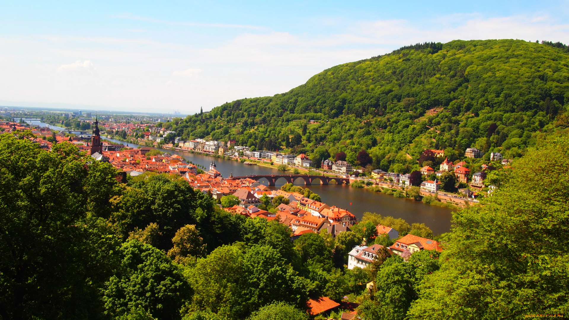 heidelberg, германия, города, гейдельберг, мосты, река, дома, зелень