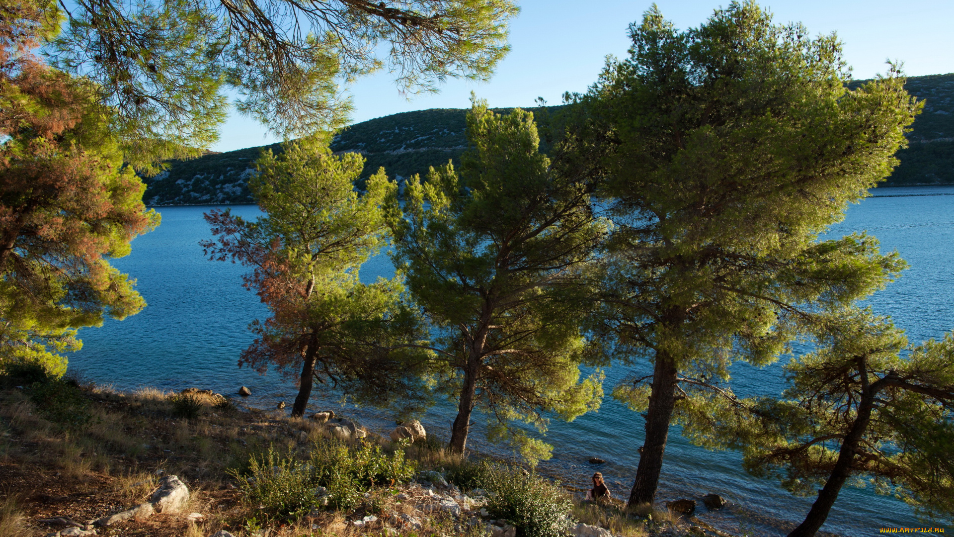 352, ibenik, , croatia, природа, реки, озера, река, деревья, побережье