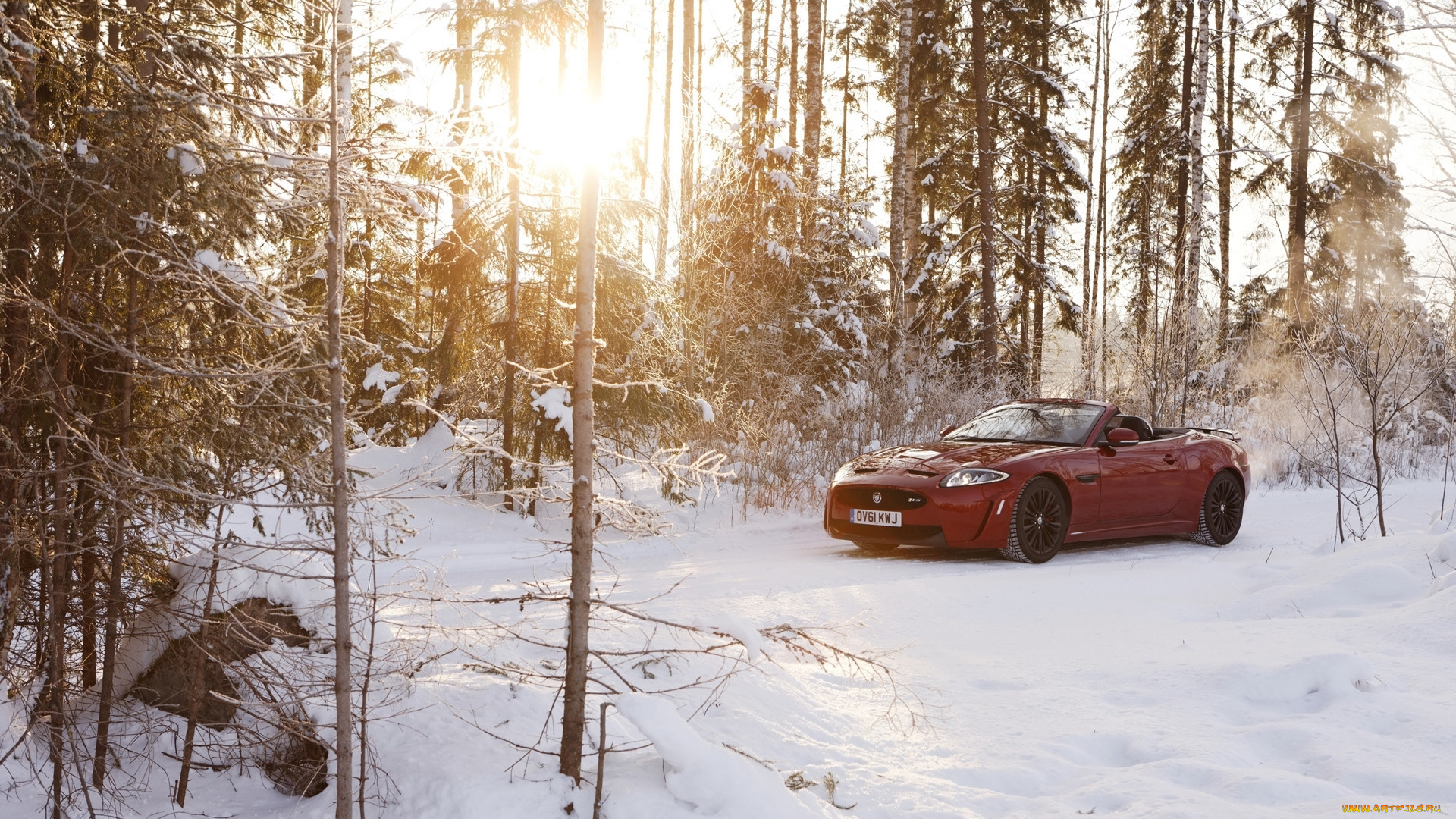 автомобили, jaguar, солнце, лес, снег, кабриолет, ягуар, convertible, xkr-s, зима, красный