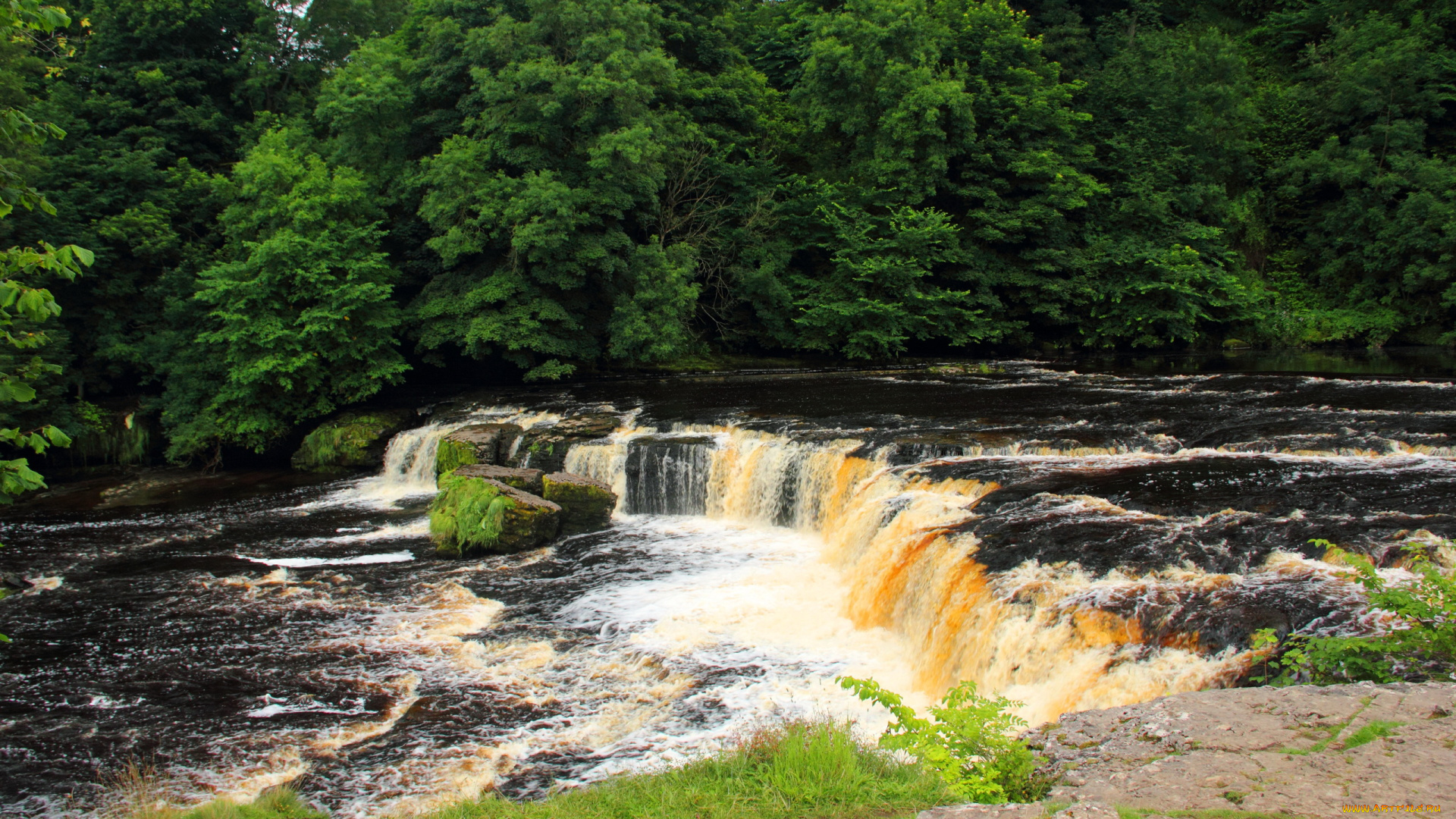 aysgarth, falls, , yorkshire, , england, природа, водопады, водопад, лес, река