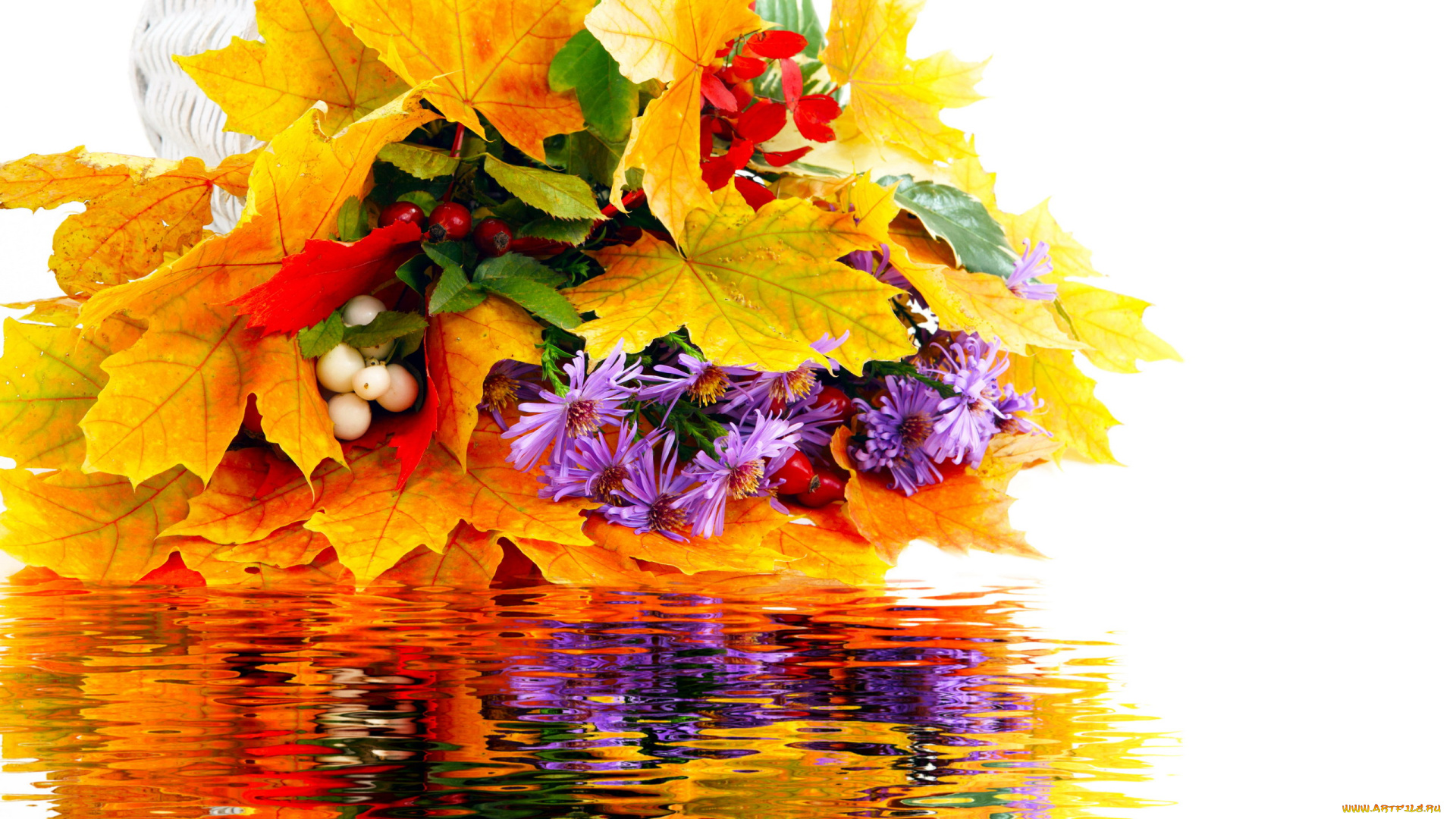 цветы, букеты, , композиции, осень, букет, ягоды, астры, листья