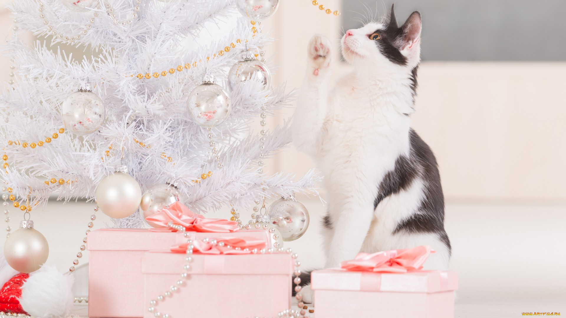 животные, коты, кошка, подарки, новый, год, праздник, украшение, игрушки, бусы
