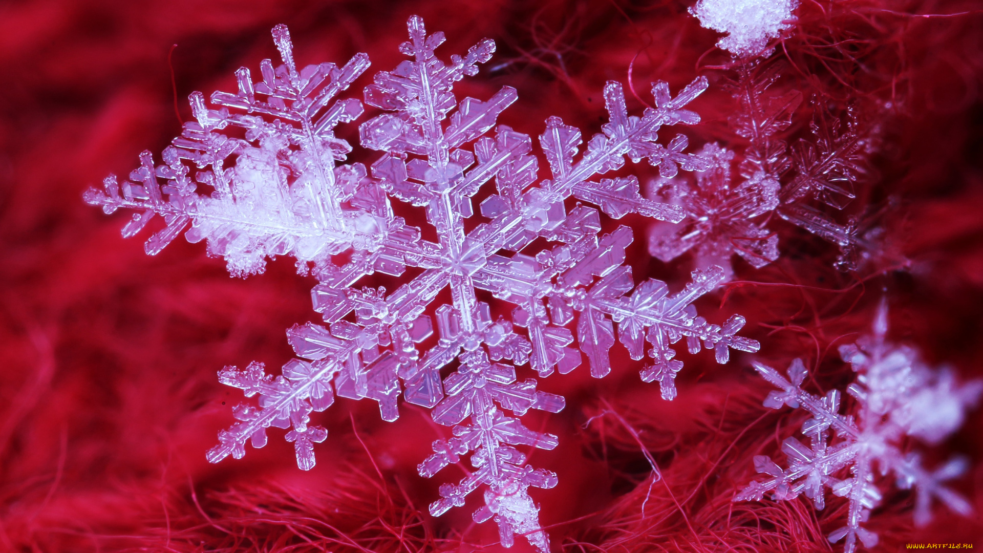 природа, макро, снежинки, ткань, кристаллы