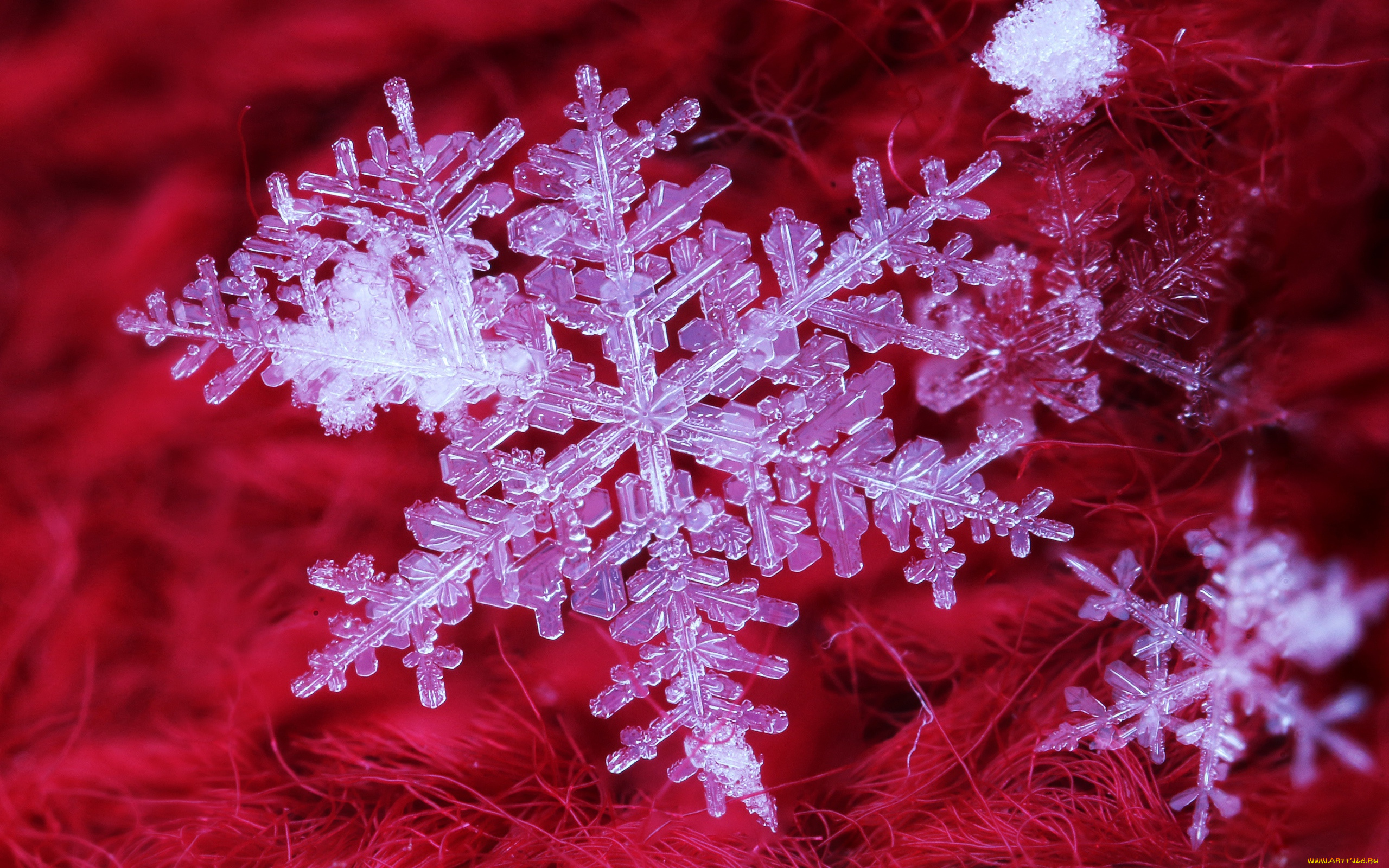 природа, макро, снежинки, ткань, кристаллы