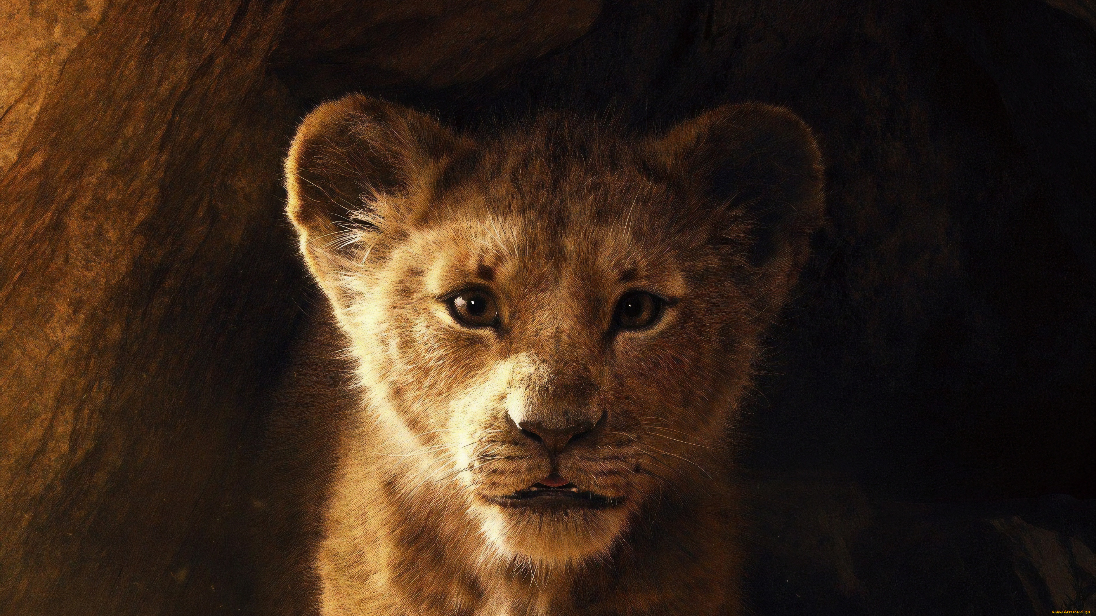 the, lion, king, , 2019, кино, фильмы, -unknown, , другое, приключения, драма, мюзикл, король, лев, the, lion, king