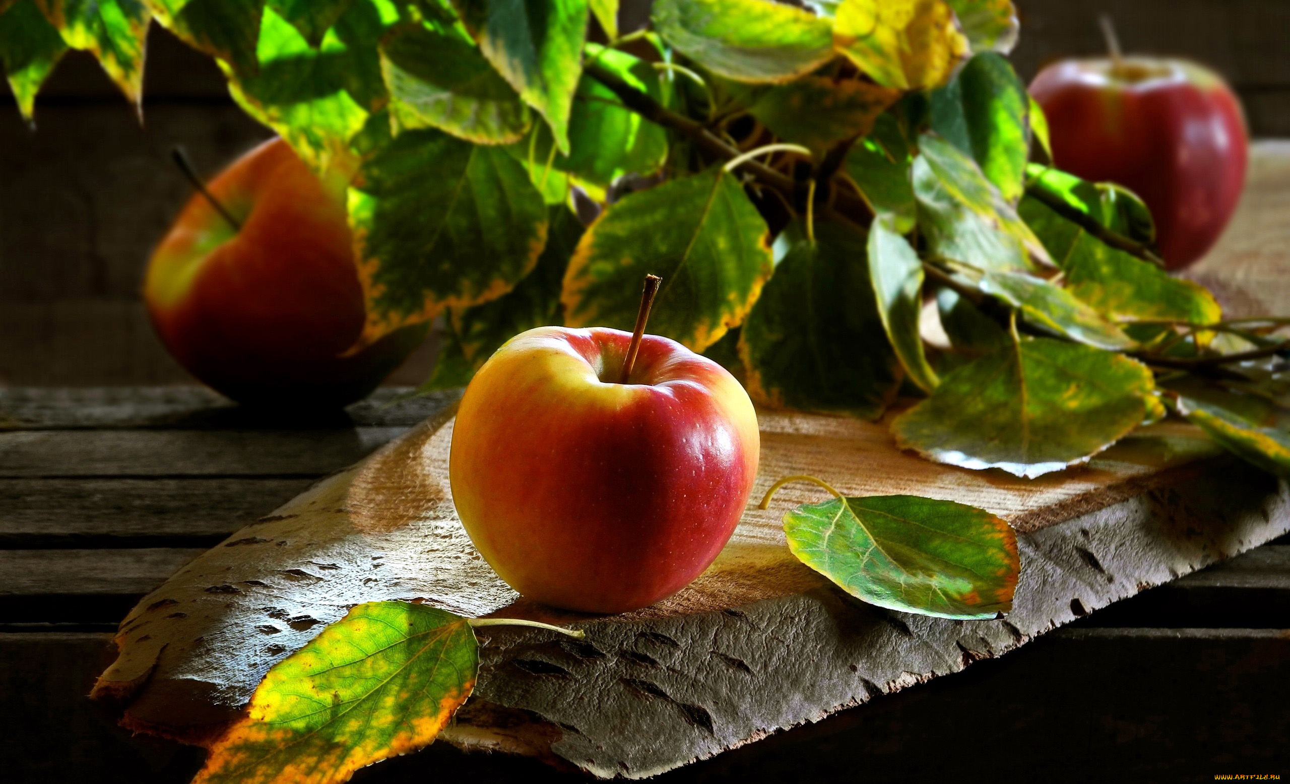 еда, яблоки, краснобокие, листья