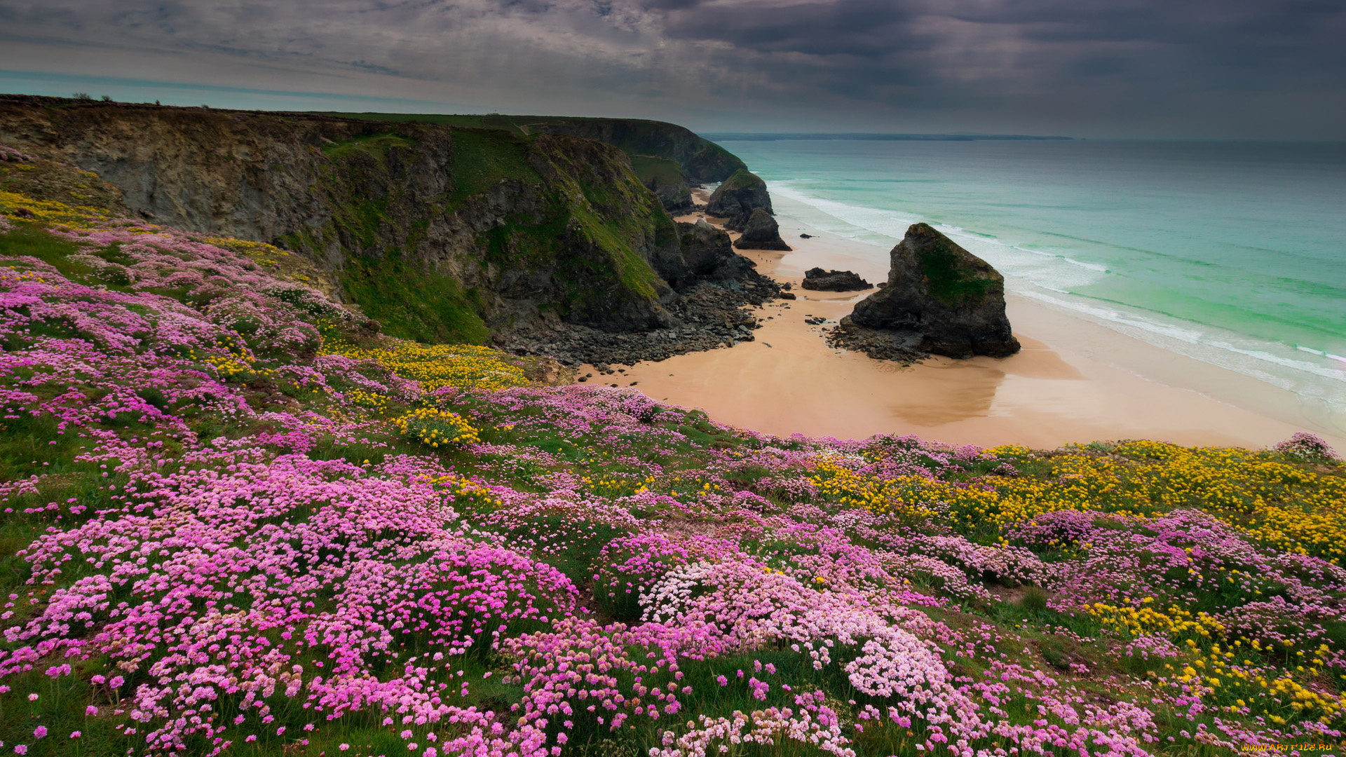 cornwall, природа, побережье