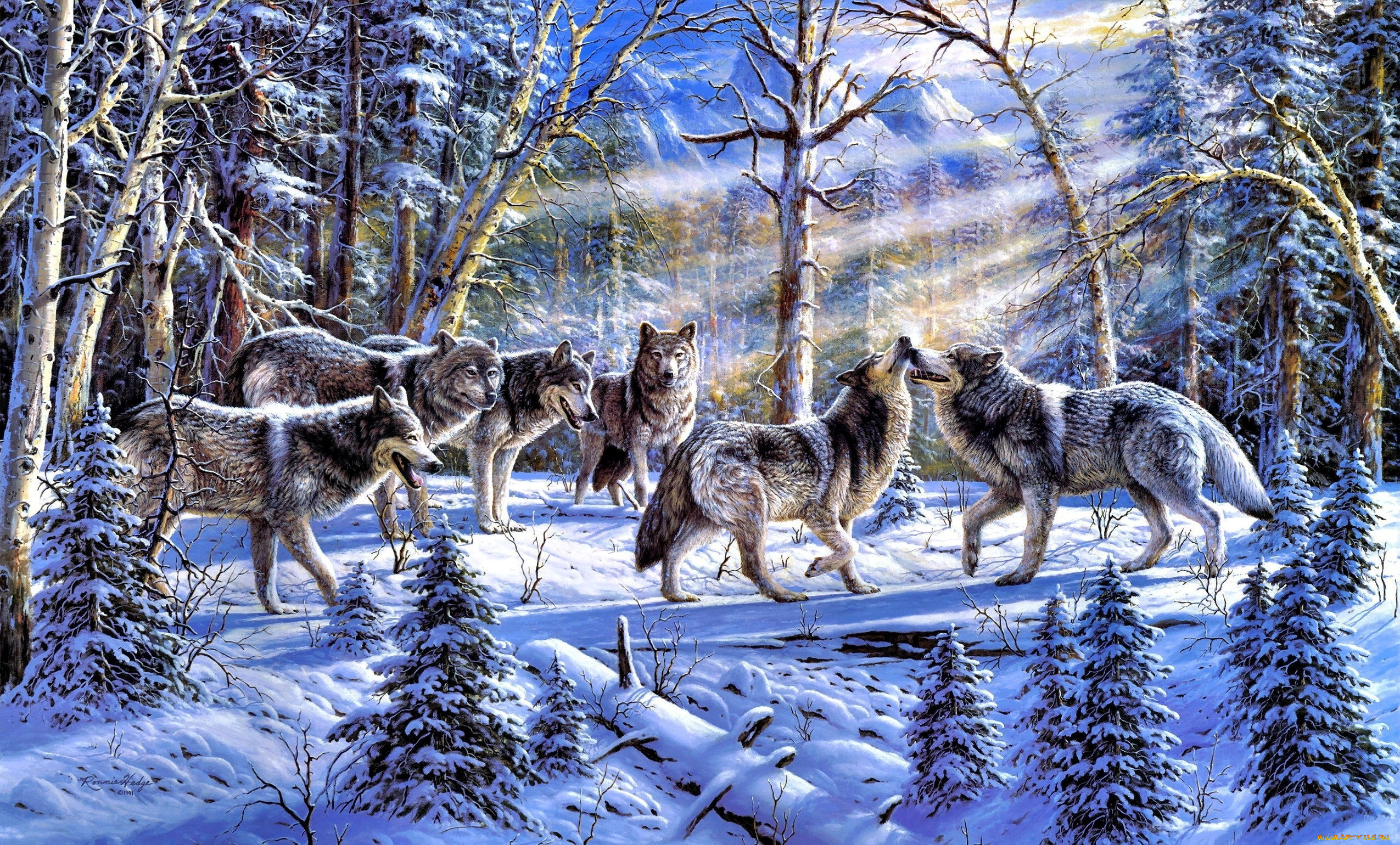 рисованное, животные, , волки, волки, стая, лес, снег, зима