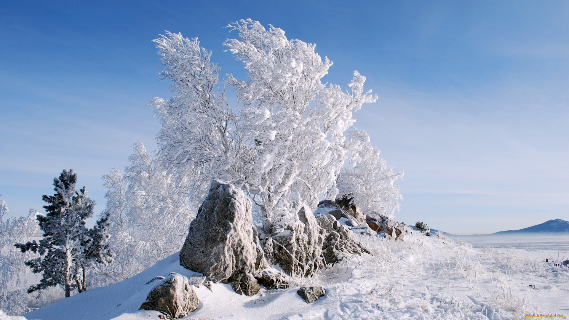 природа, зима, камни, снег, деревья