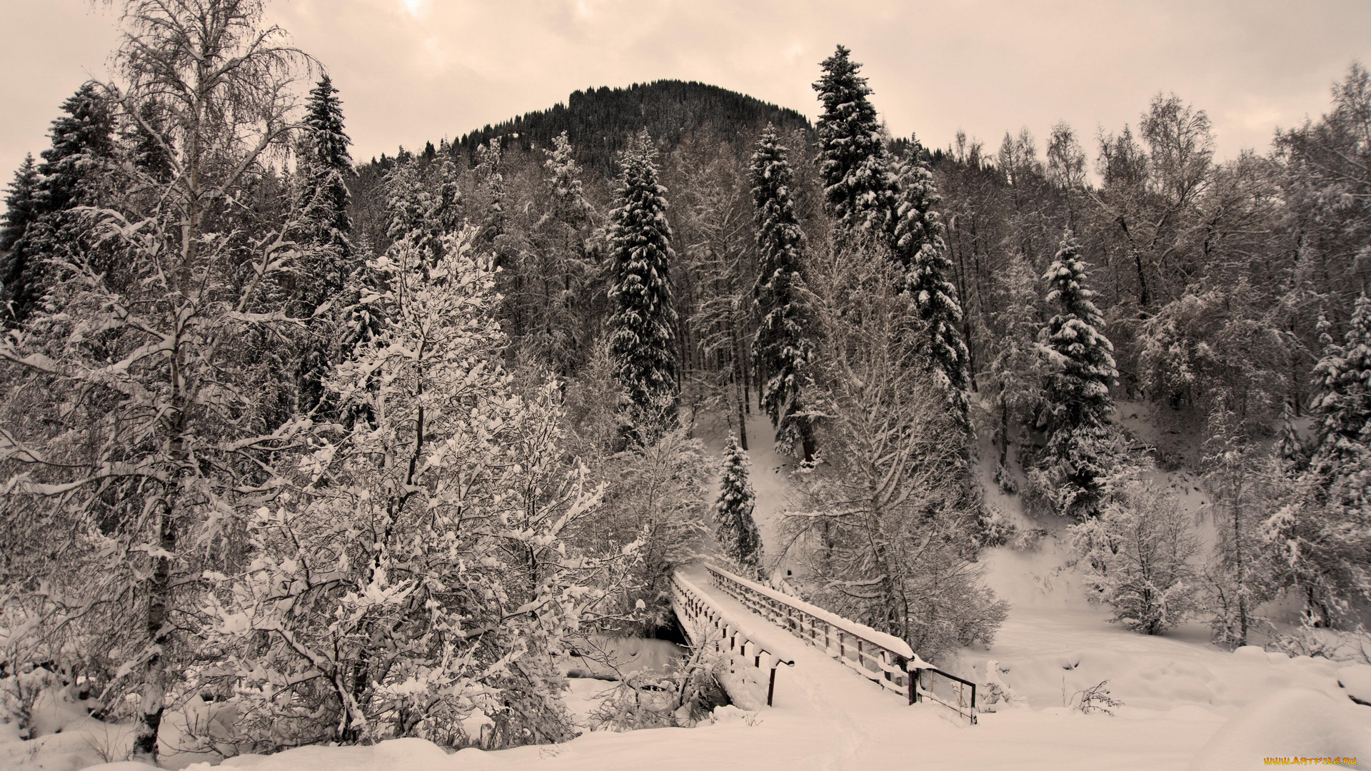природа, зима, лес, мостик