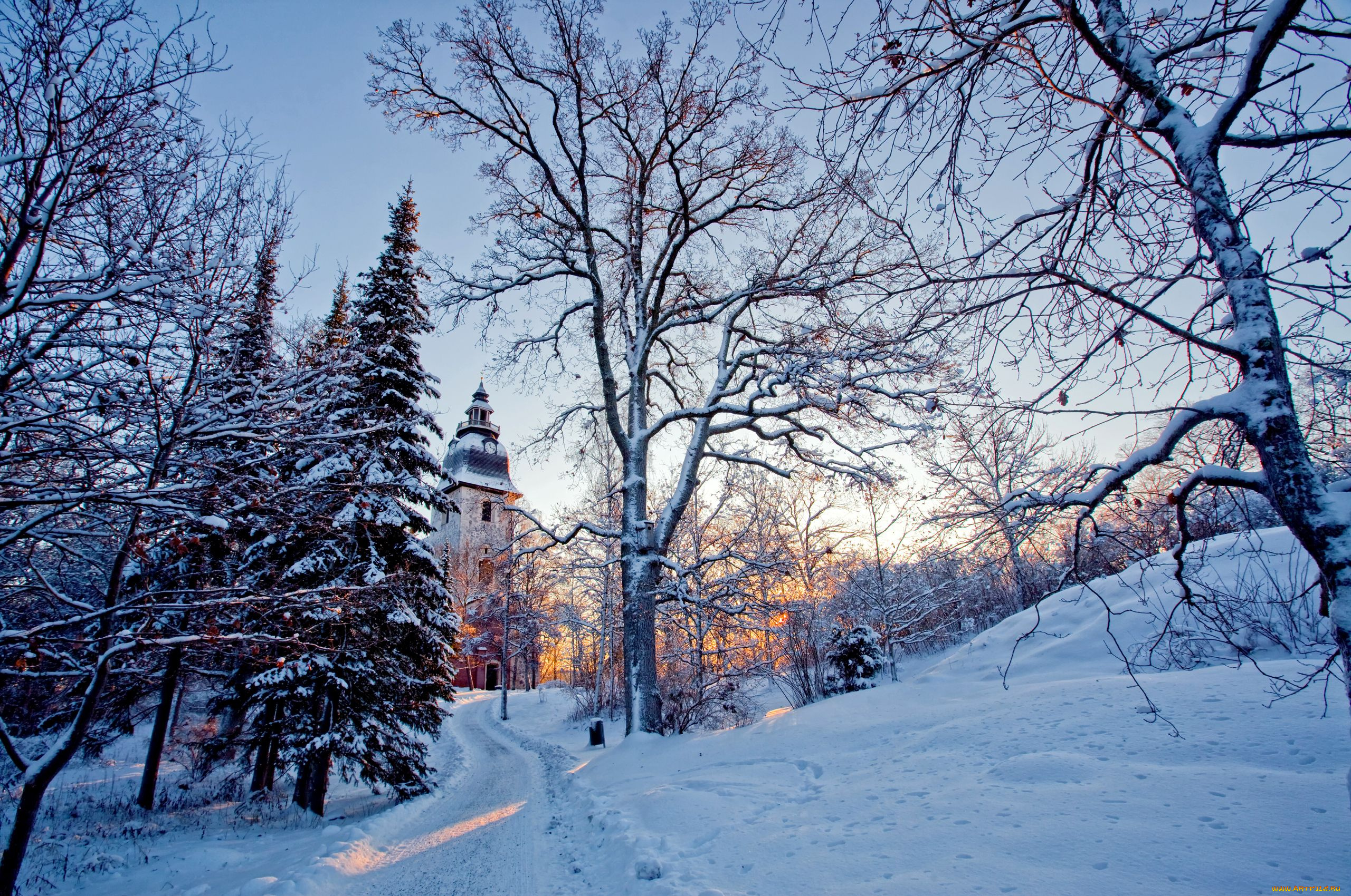 Январь году начало зимы. Зима. Красивая зима. Зимний пейзаж в городе. Зимняя природа.