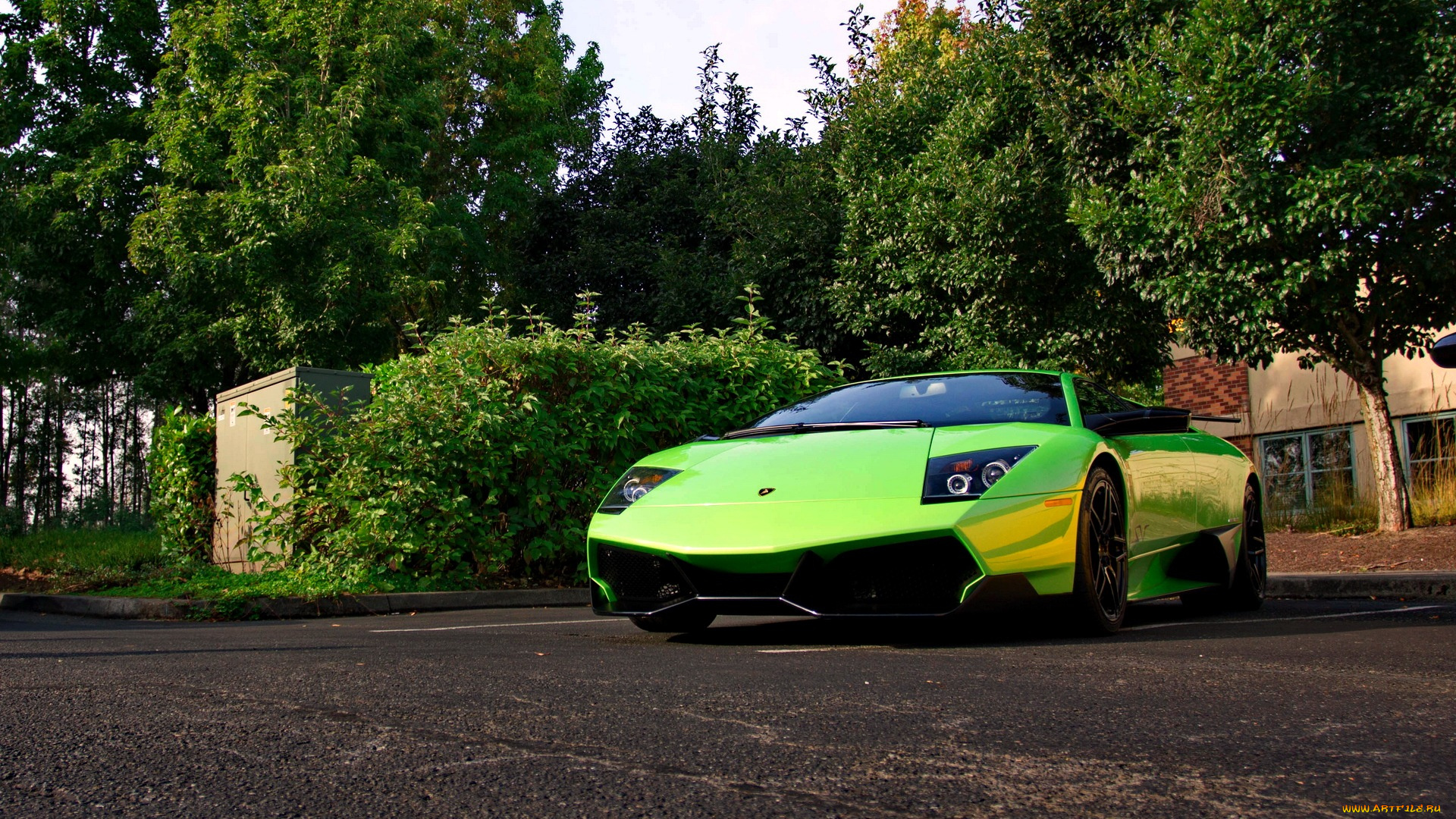 lamborghini, murcielago, автомобили