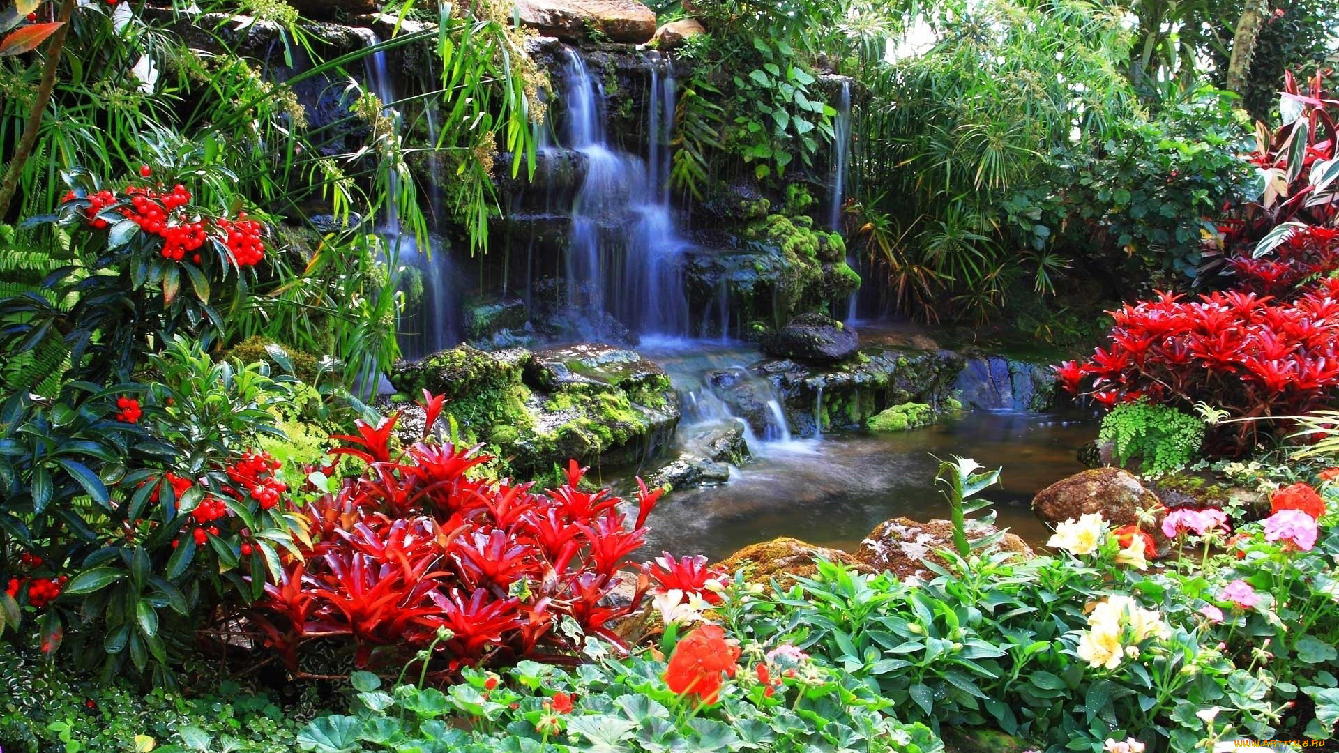природа, парк, водопад, цветы