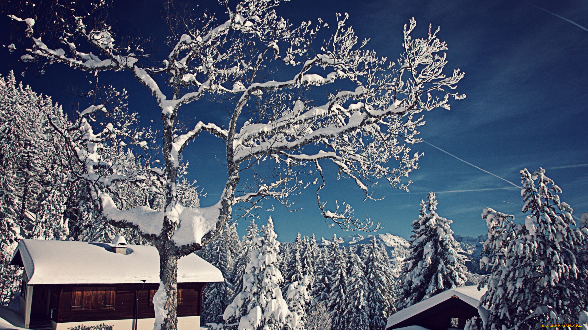 природа, зима, switzerland, швейцария, снег, деревья, ели, домики
