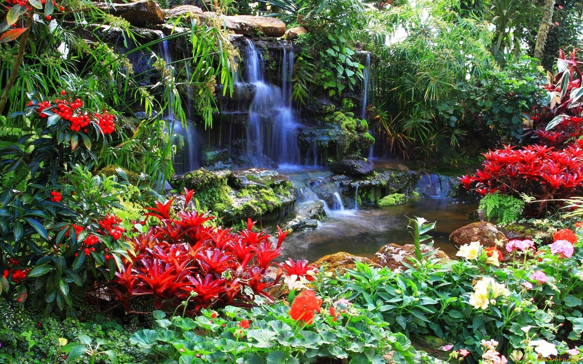 природа, парк, водопад, цветы