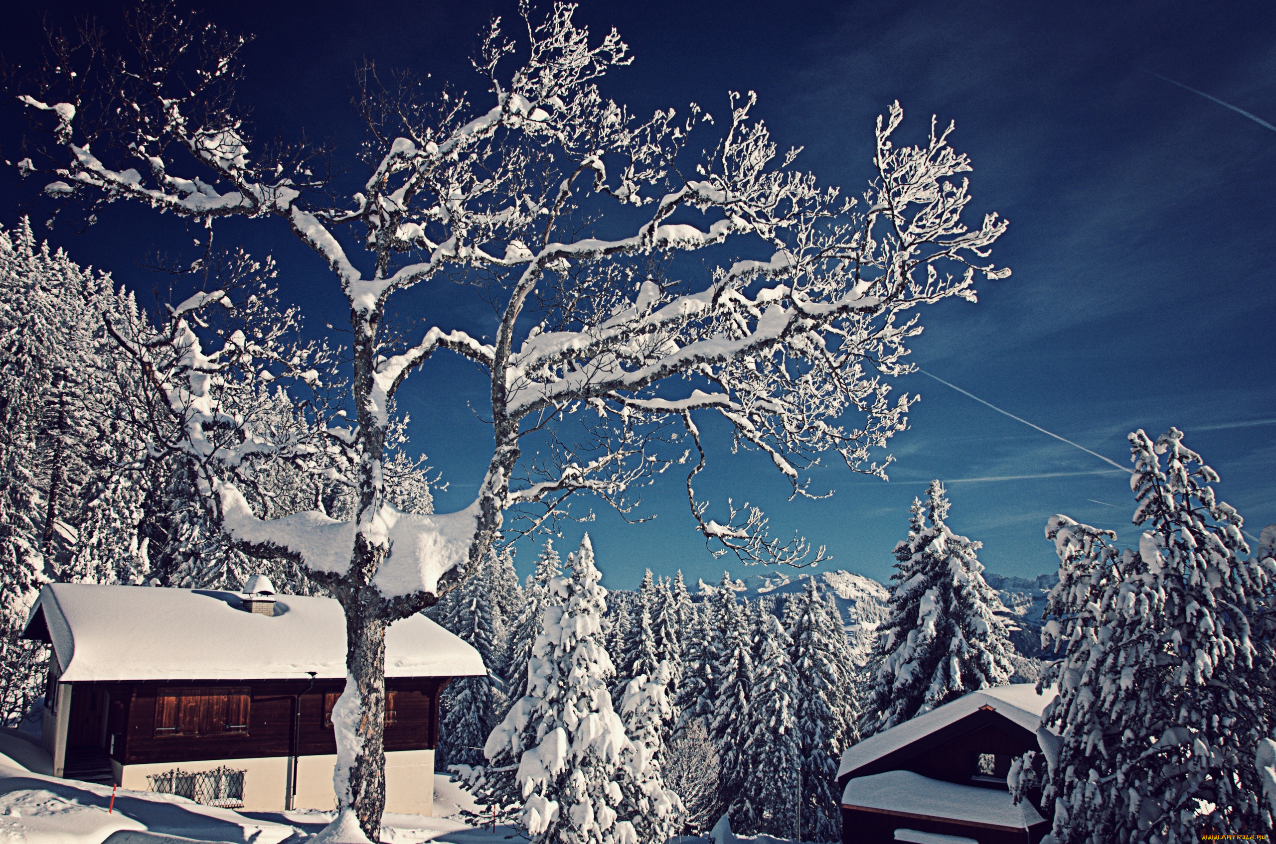 природа, зима, switzerland, швейцария, снег, деревья, ели, домики