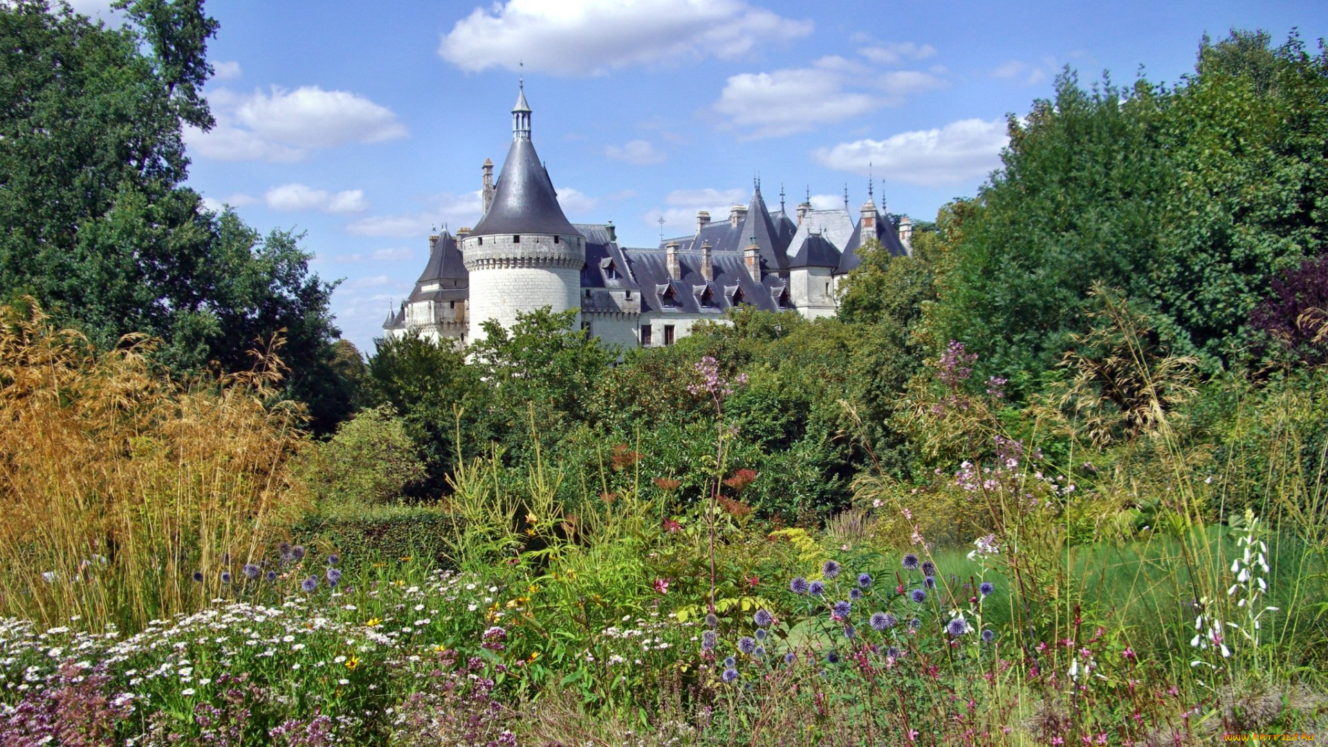 города, замки, луары, , франция, трава, луг, леес, цветы, замок, chateau, de, chaumont, france, замок, шомон-сюр-луар