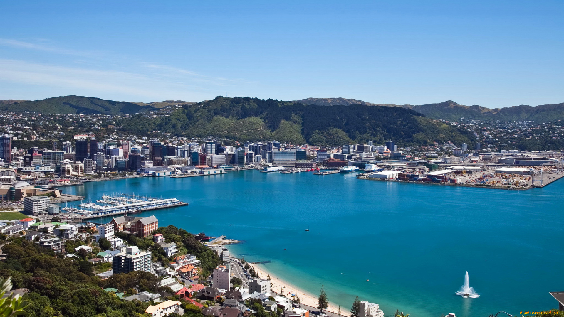 wellington, , new, zealand, города, веллингтон, , новая, зеландия, побережье, дома, море, велингтон