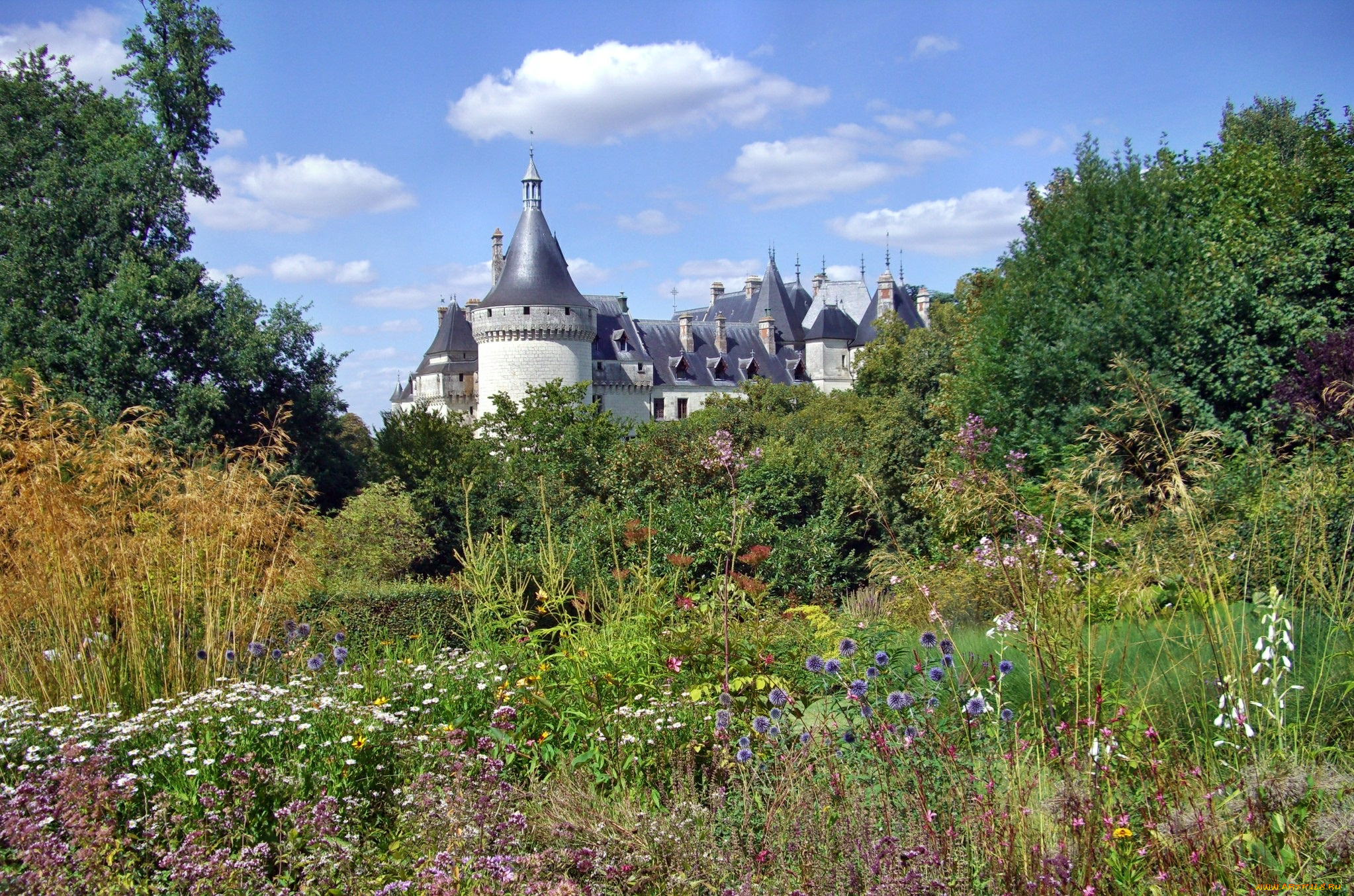 города, замки, луары, , франция, трава, луг, леес, цветы, замок, chateau, de, chaumont, france, замок, шомон-сюр-луар