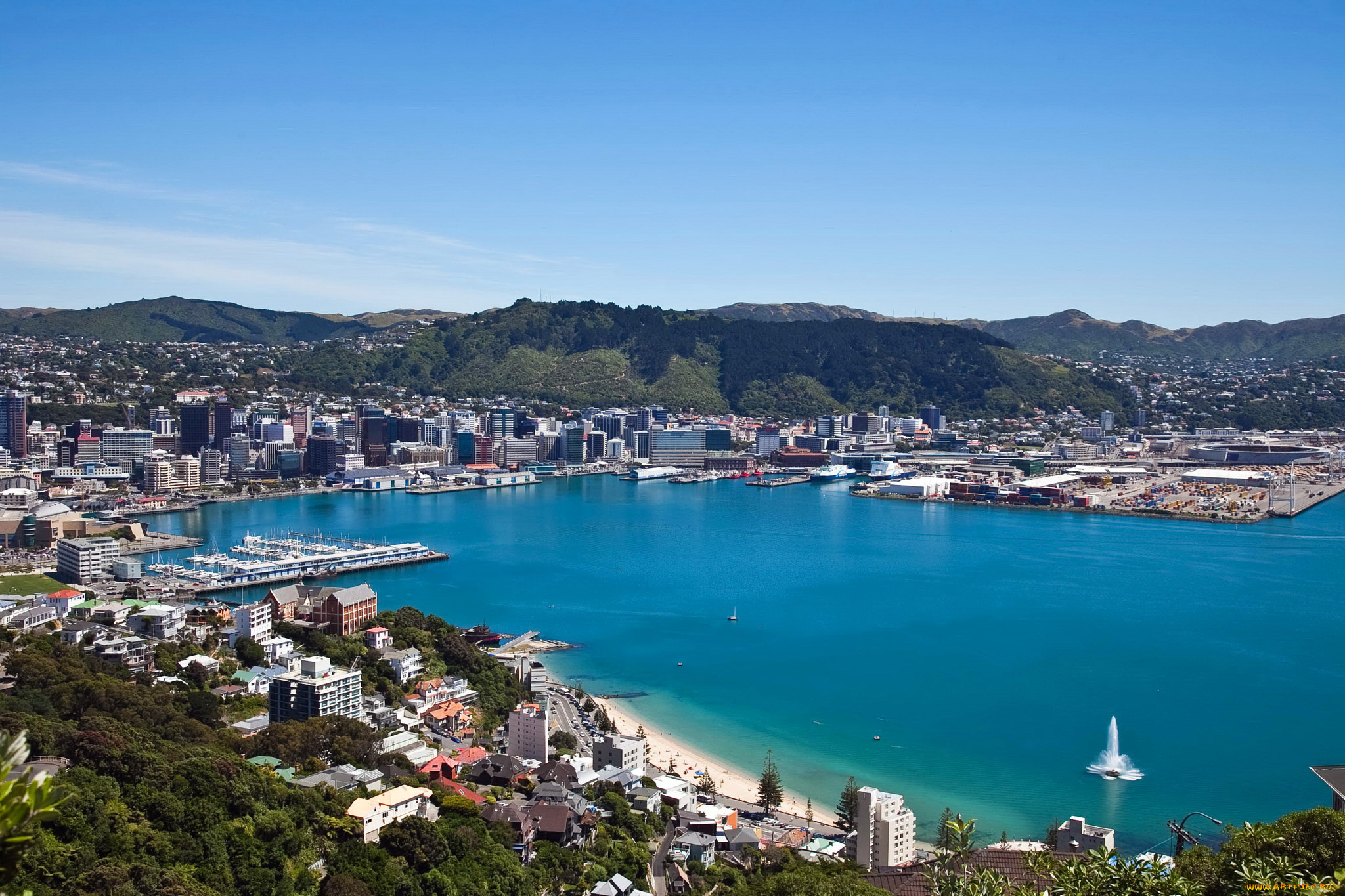 wellington, , new, zealand, города, веллингтон, , новая, зеландия, побережье, дома, море, велингтон