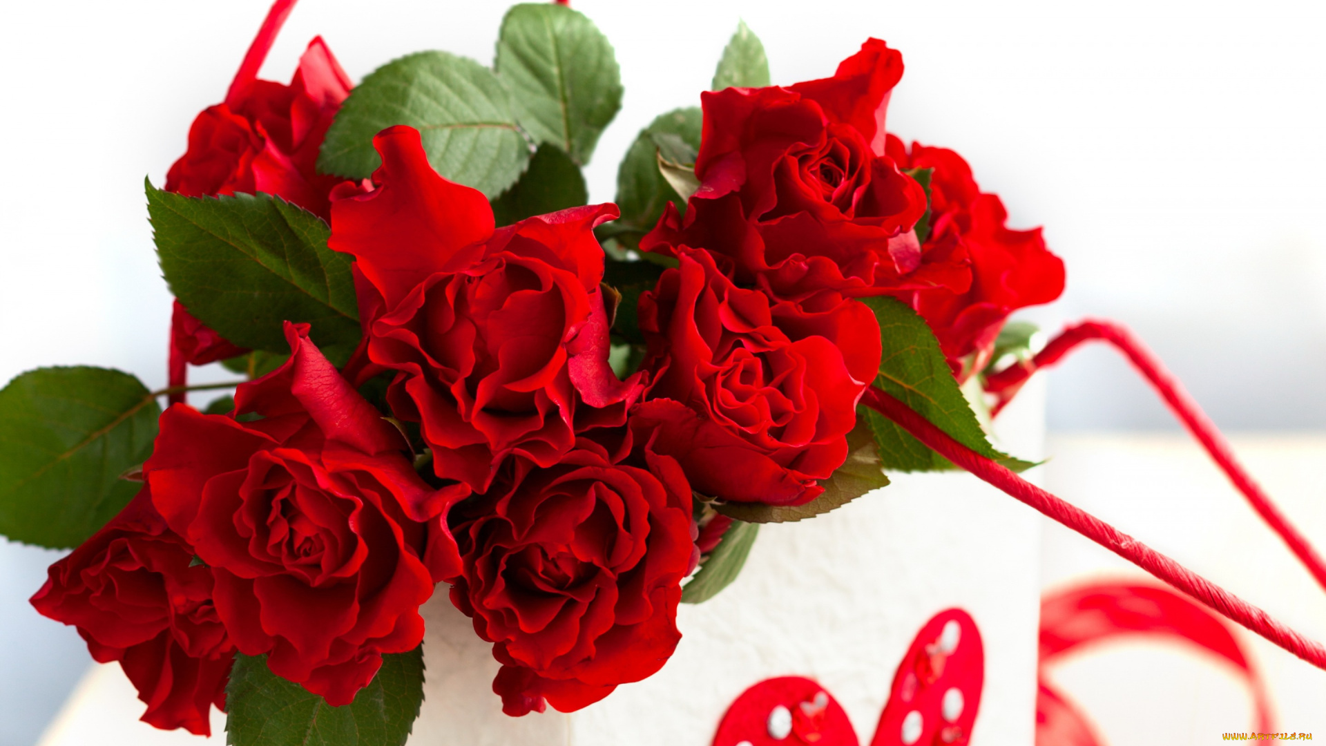 цветы, розы, romantic, valentine's, day, rose, love, heart