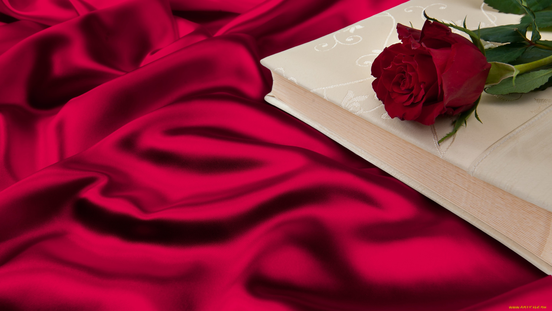 цветы, розы, rose, red, шёлк, роза, silk, romantic, книга, складки