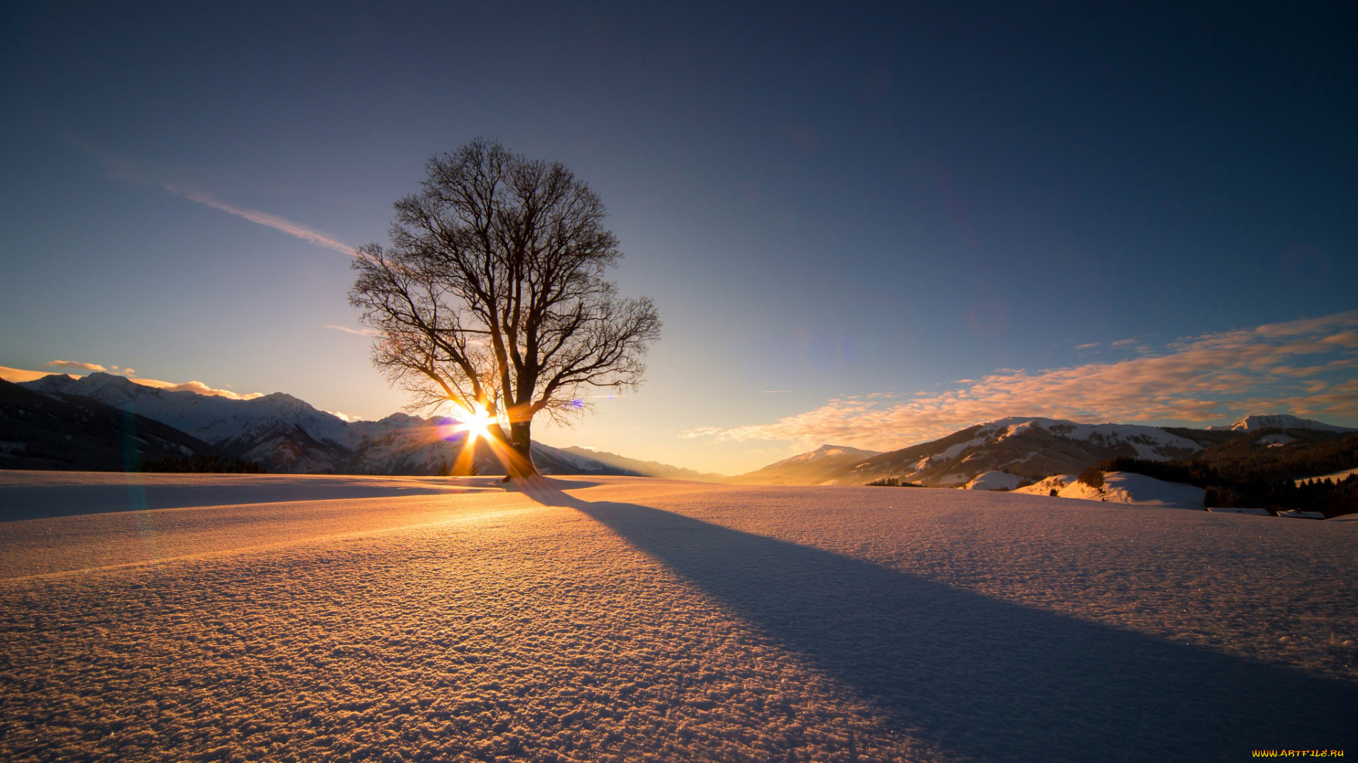 природа, восходы, закаты, солнце, дерево, снег, зима, австрия