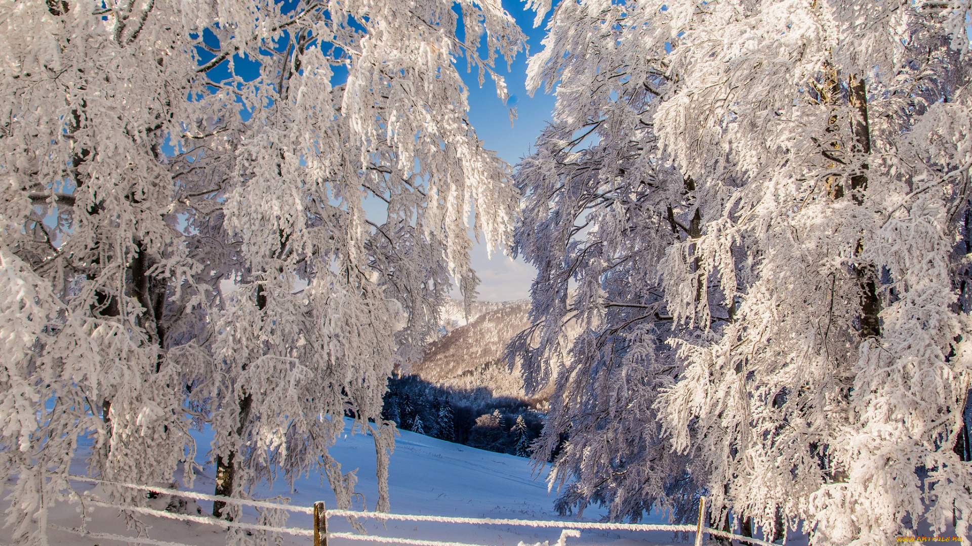 природа, зима, деревья, забор, склон, горы, снег