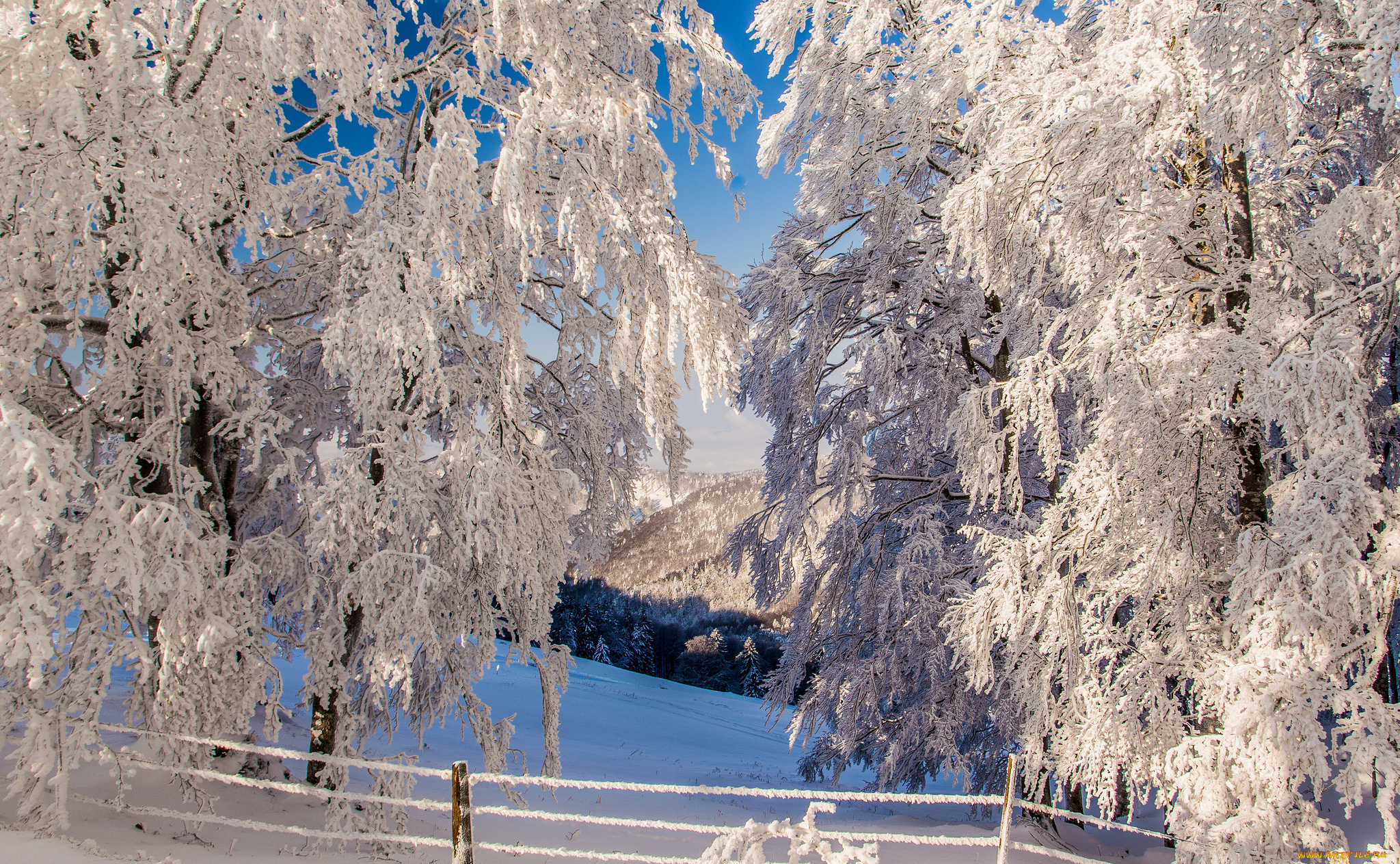 природа, зима, деревья, забор, склон, горы, снег