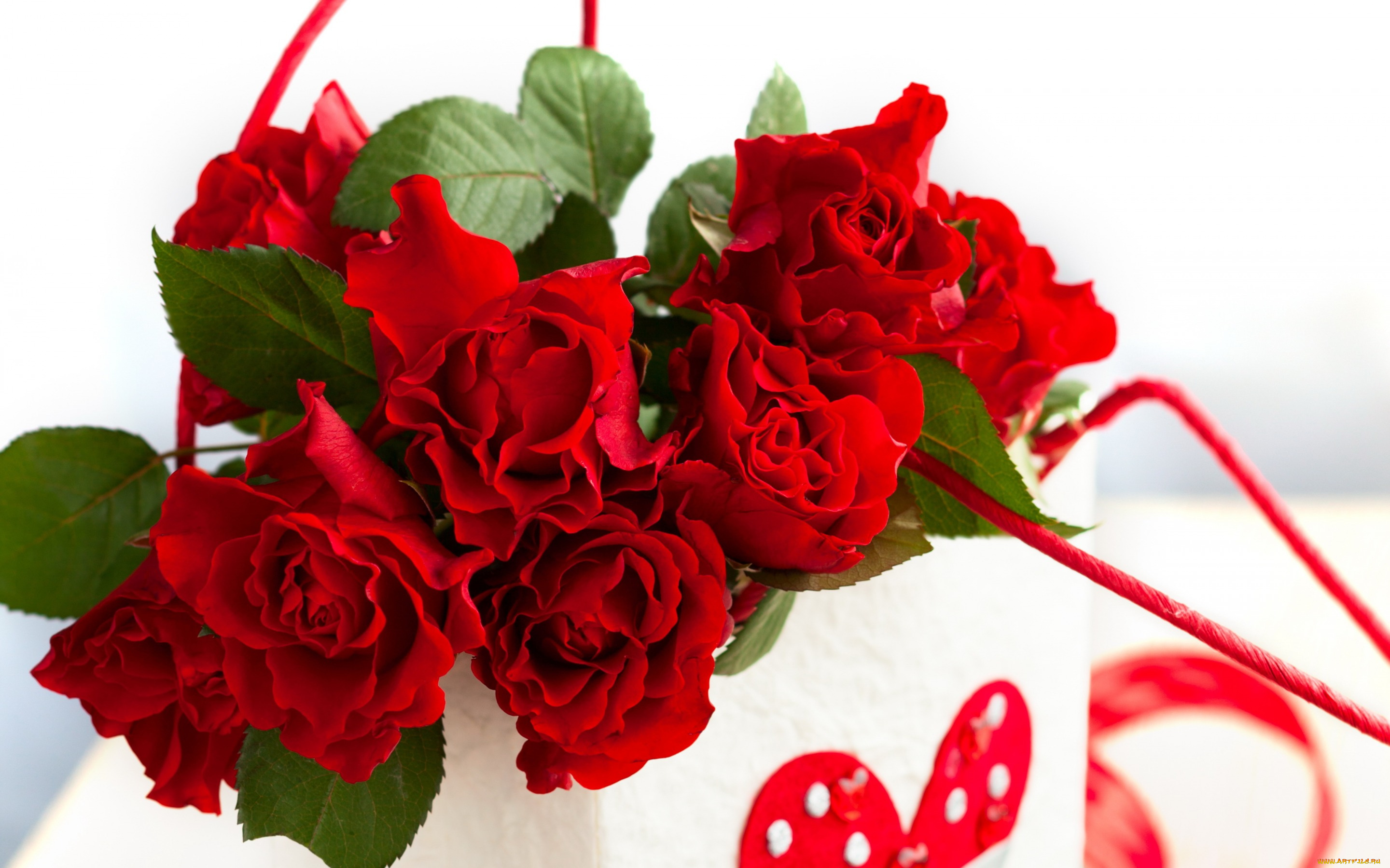 цветы, розы, romantic, valentine's, day, rose, love, heart