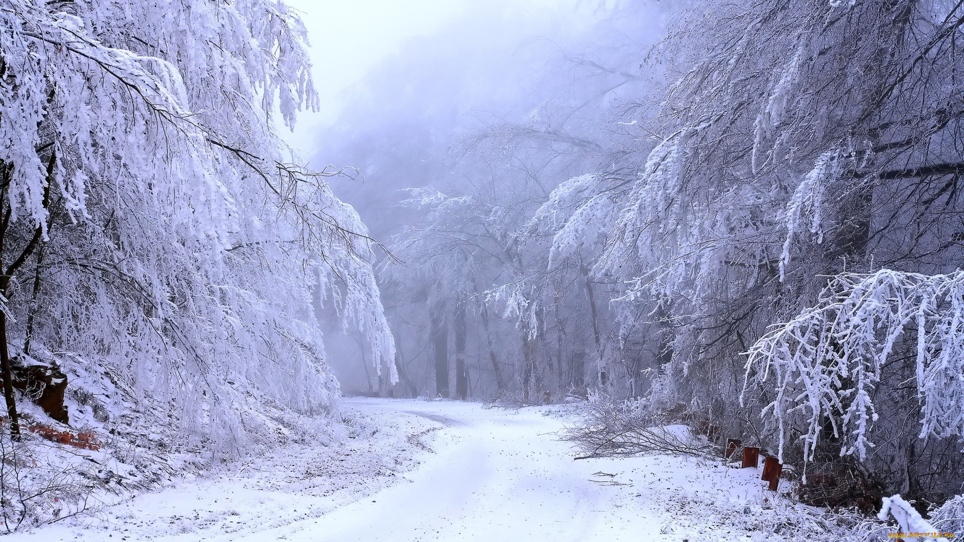 природа, зима, иней, дорога, лес