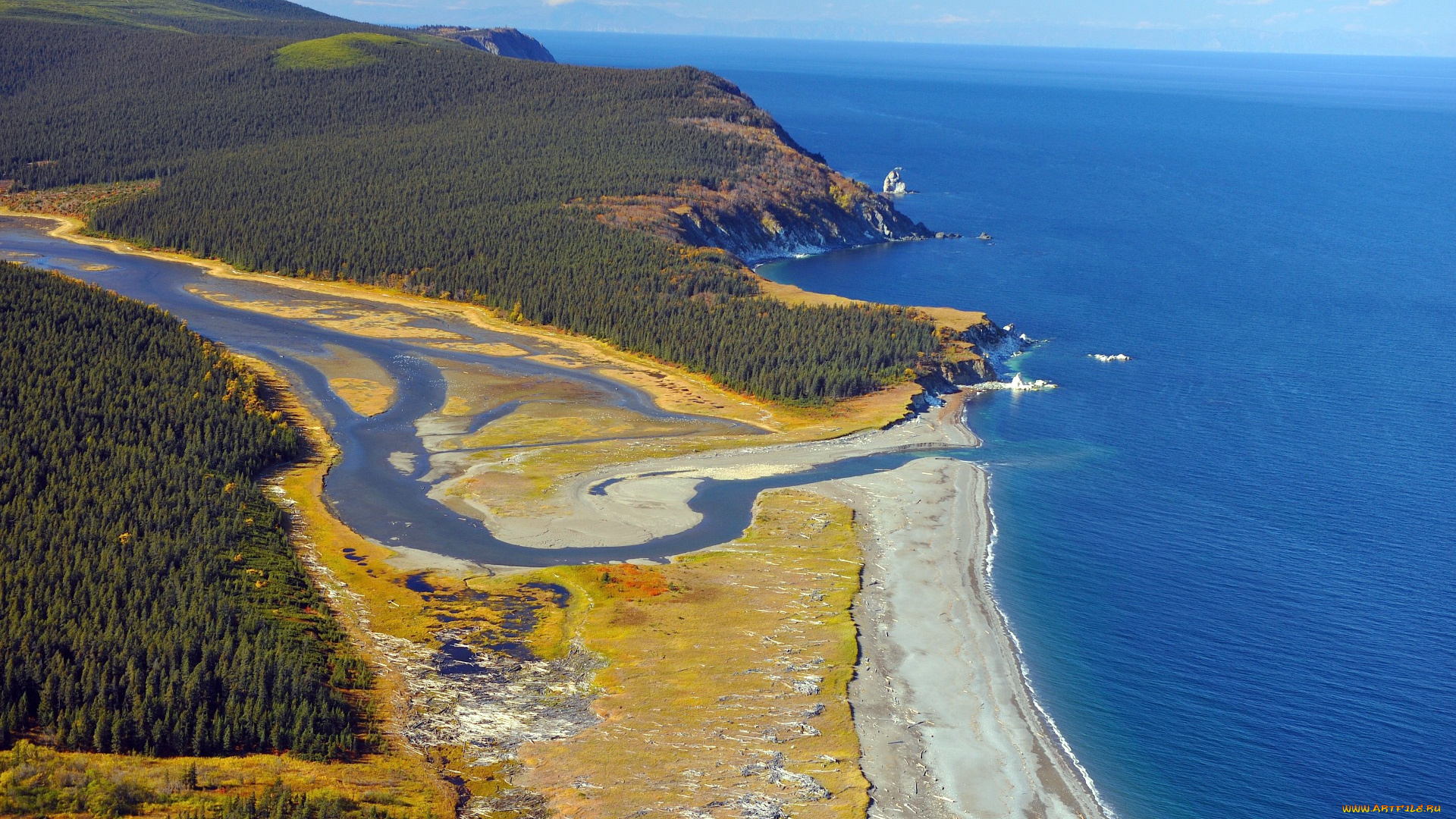 природа, побережье, море, река, лес