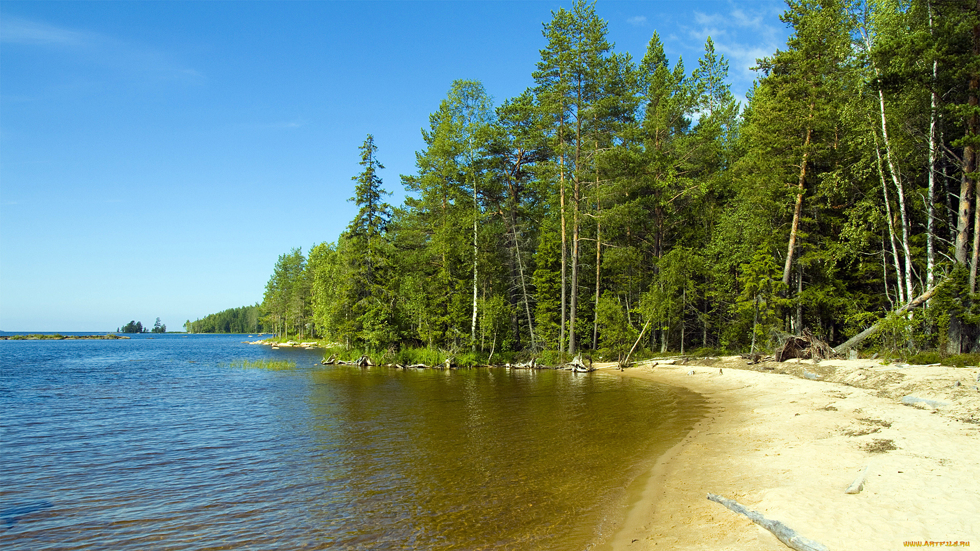 природа, побережье, пляж, море