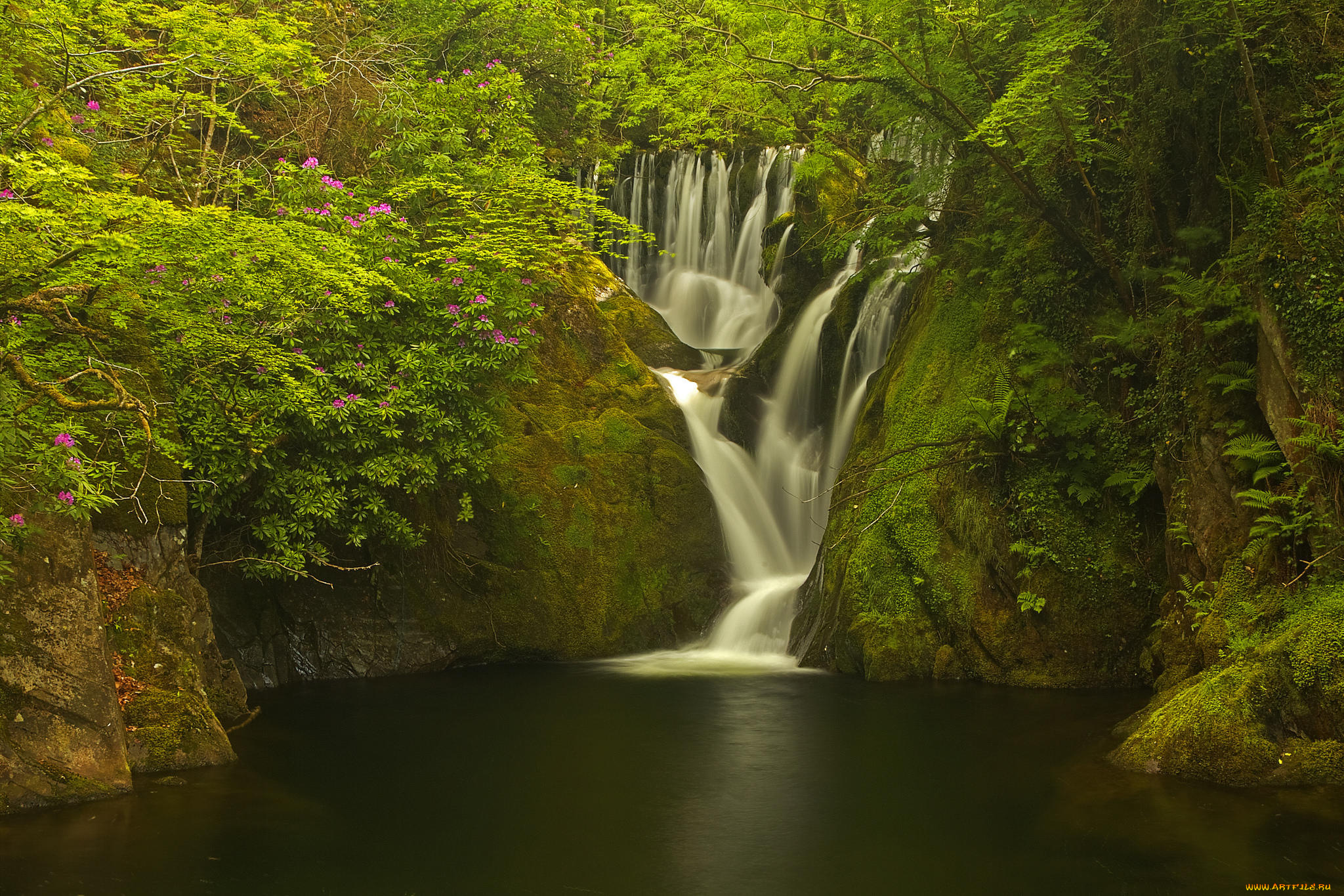 природа, водопады, уэльс, machynlleth, деревья, лес, великобритания