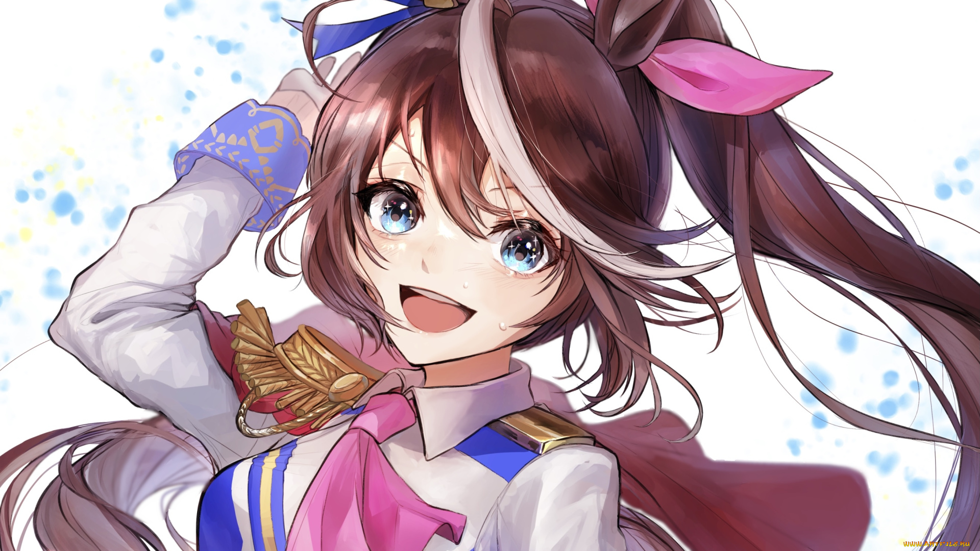 аниме, uma, musume, , pretty, derby, uma, musume, pretty, derby