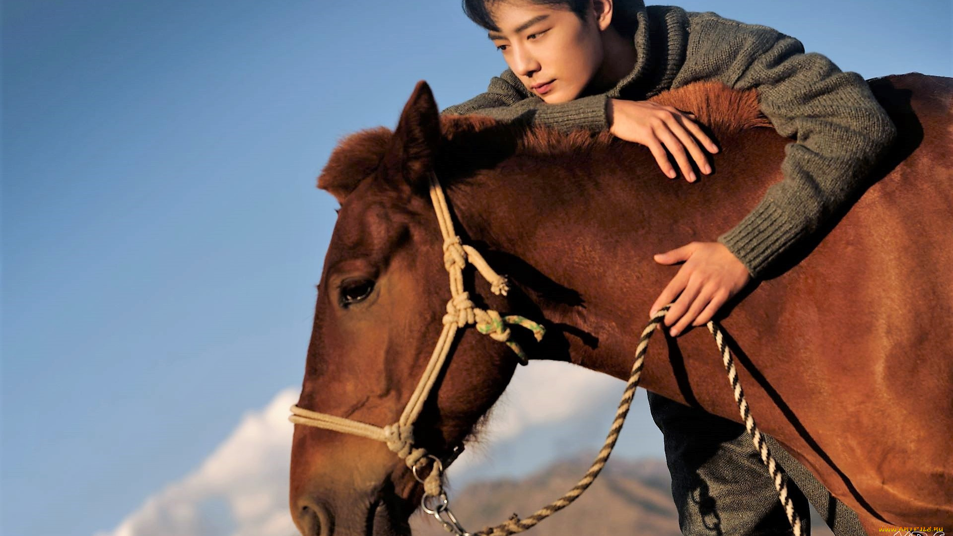мужчины, xiao, zhan, актер, свитер, лошадь