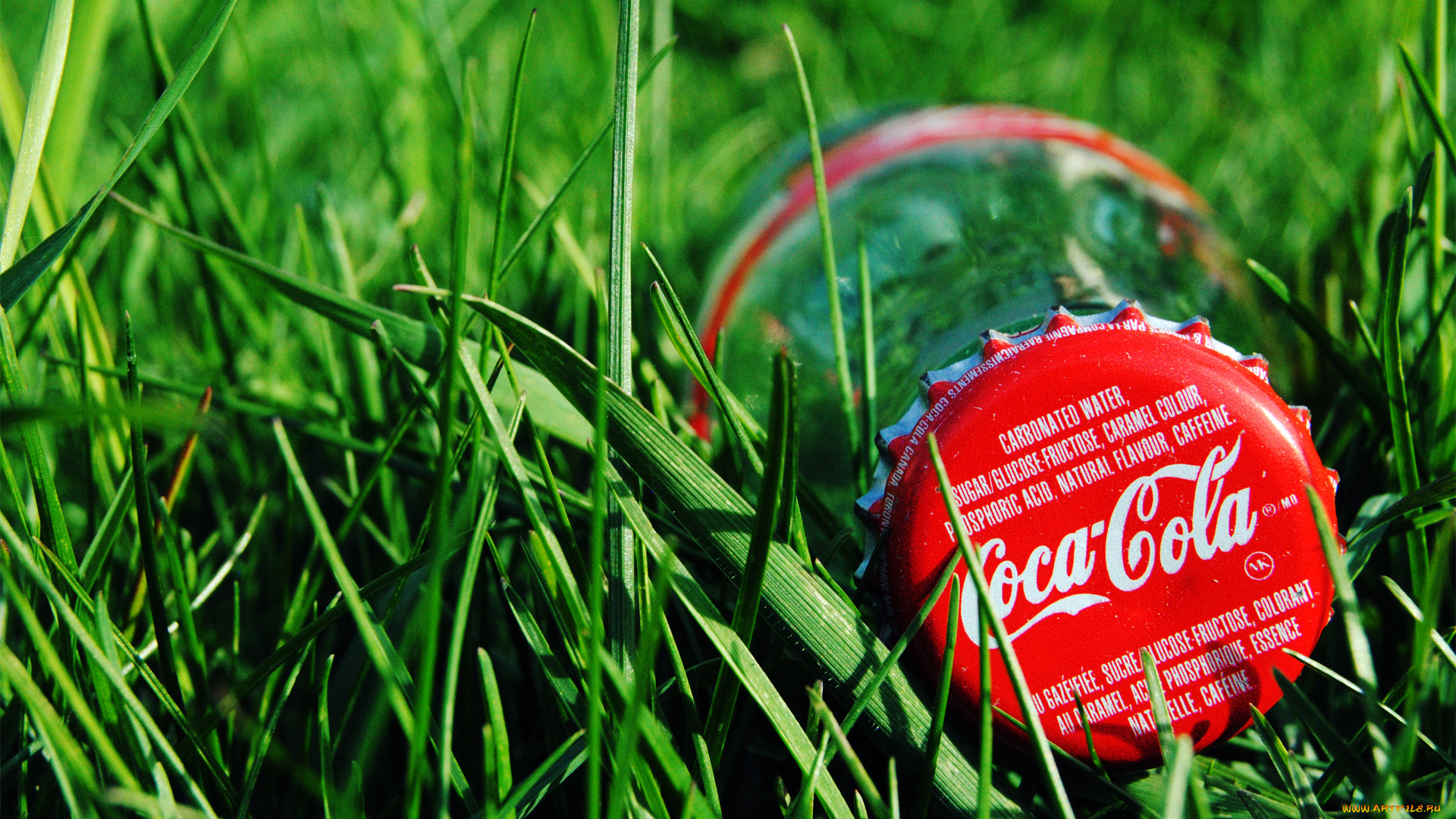 бренды, coca-cola, bottle, cola, coca, grass