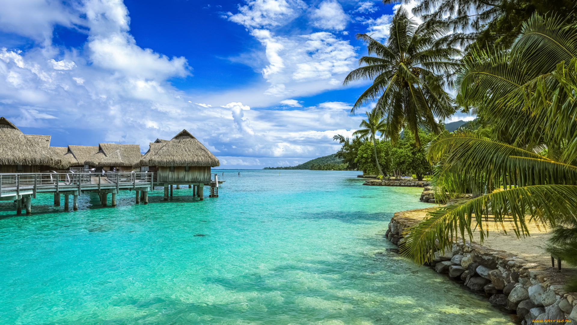 moorea, , french, polynesia, природа, тропики, бунгало, острова, океан