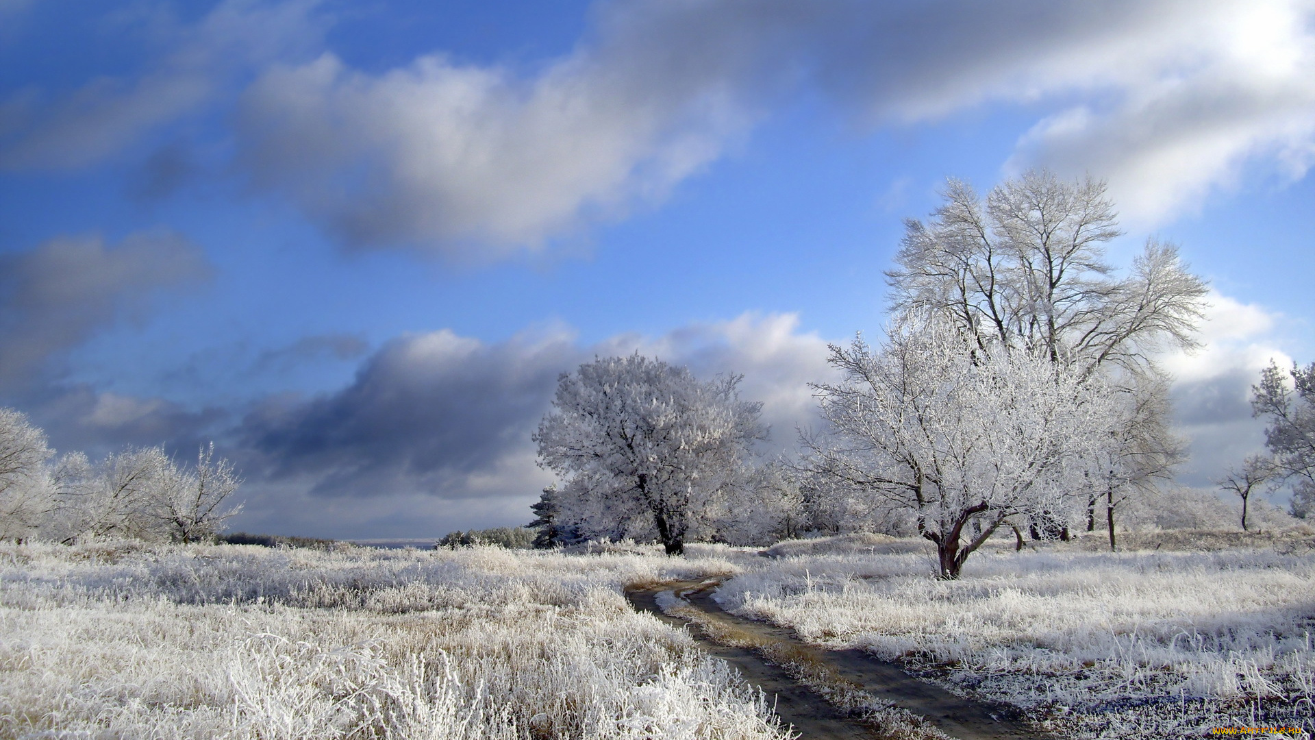 природа, зима, облака, деревья, иней, поле, дорога