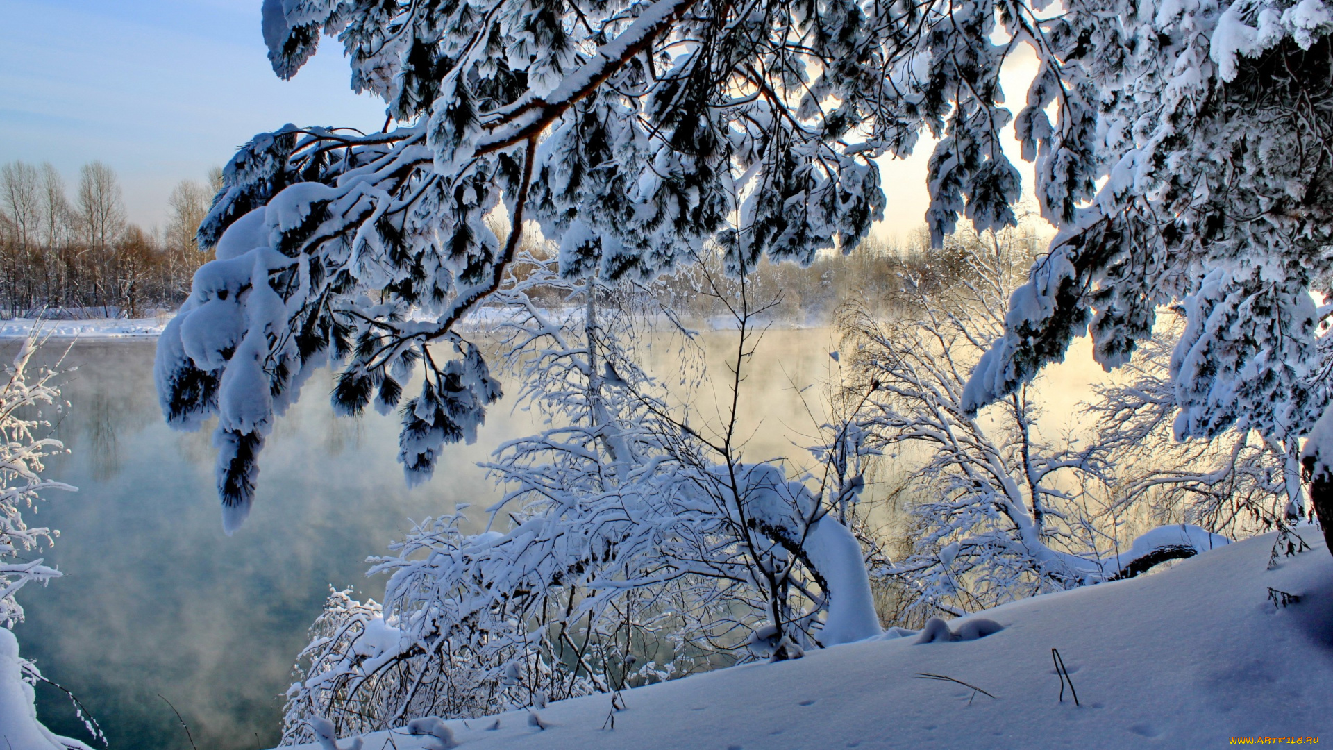 природа, зима, река, снег, ветки, утро, туман