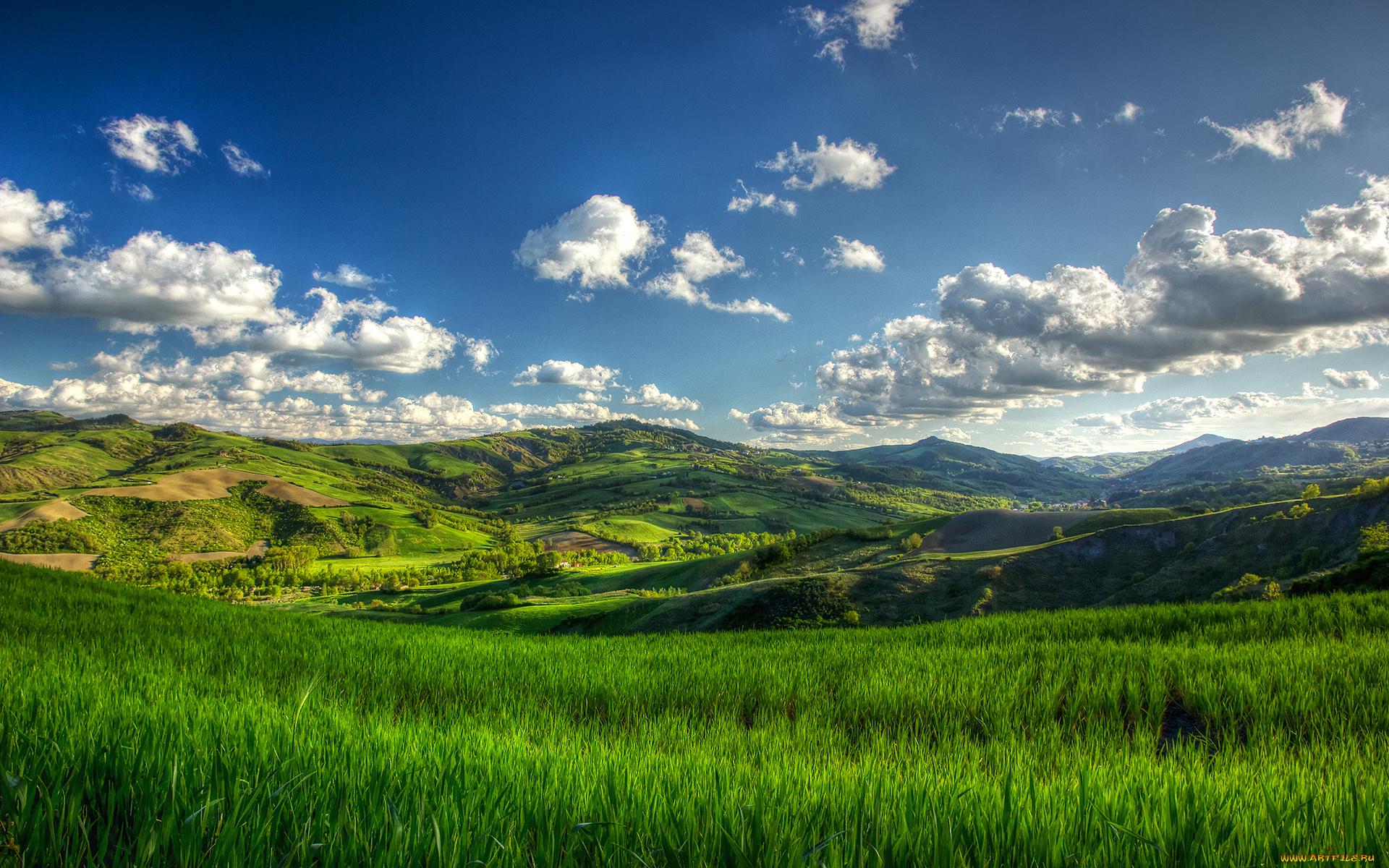 природа, пейзажи, cloud, grass, summer, hills, tree