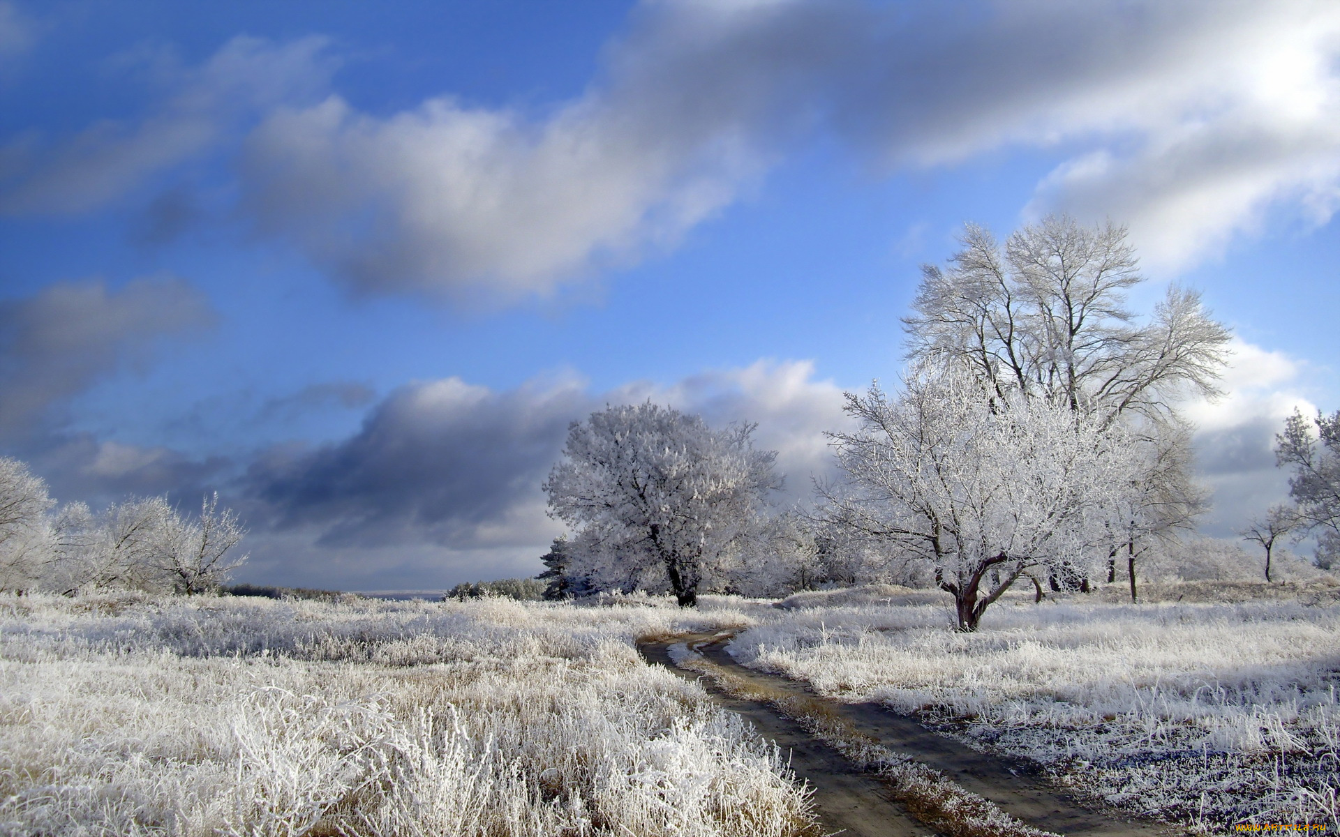 природа, зима, облака, деревья, иней, поле, дорога