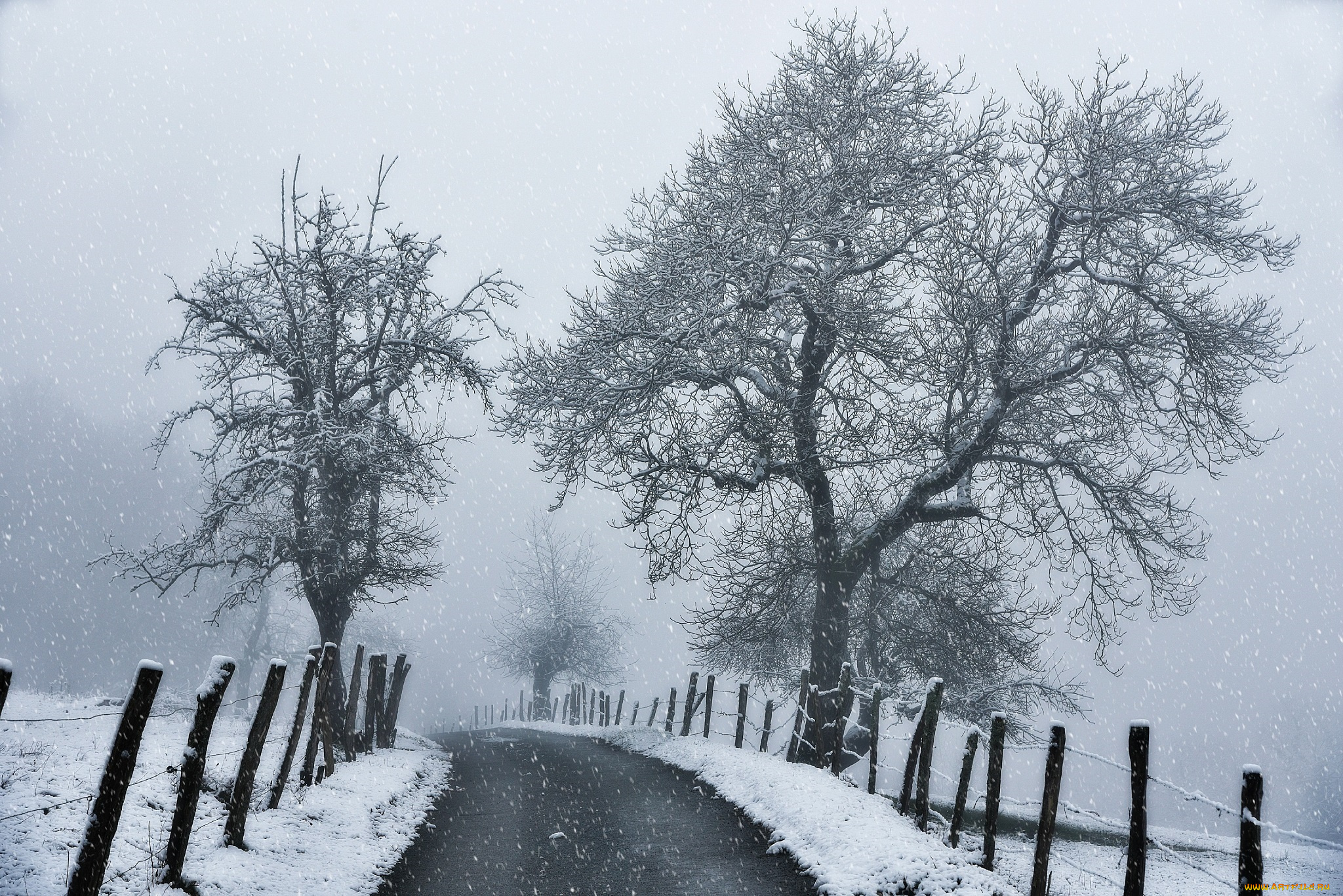 природа, зима, контраст, снег, ограда, дорога, ветки, белый, чёрный, деревья